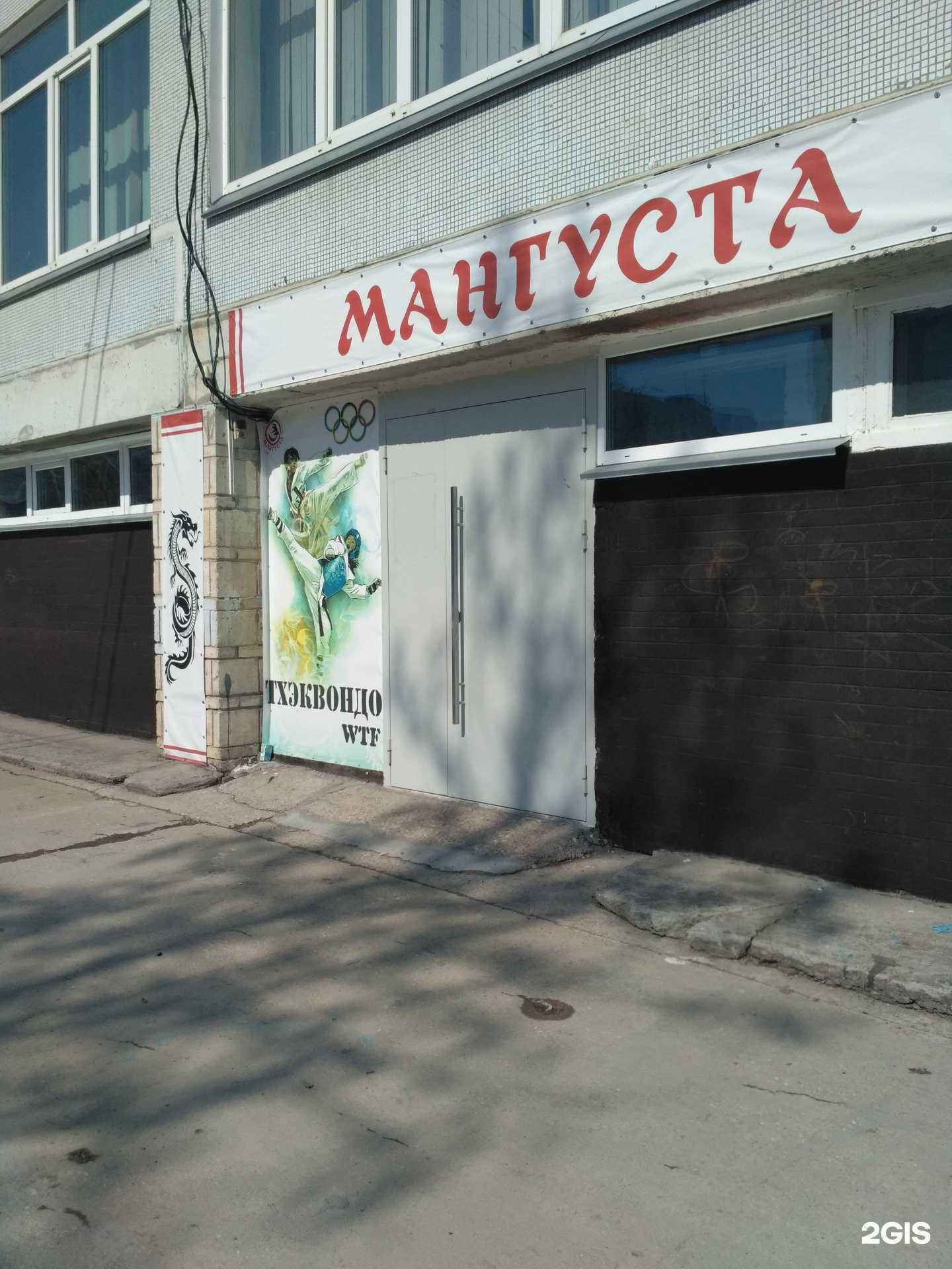 Отзывы на компанию Мангуста в г. Новосибирск c фото