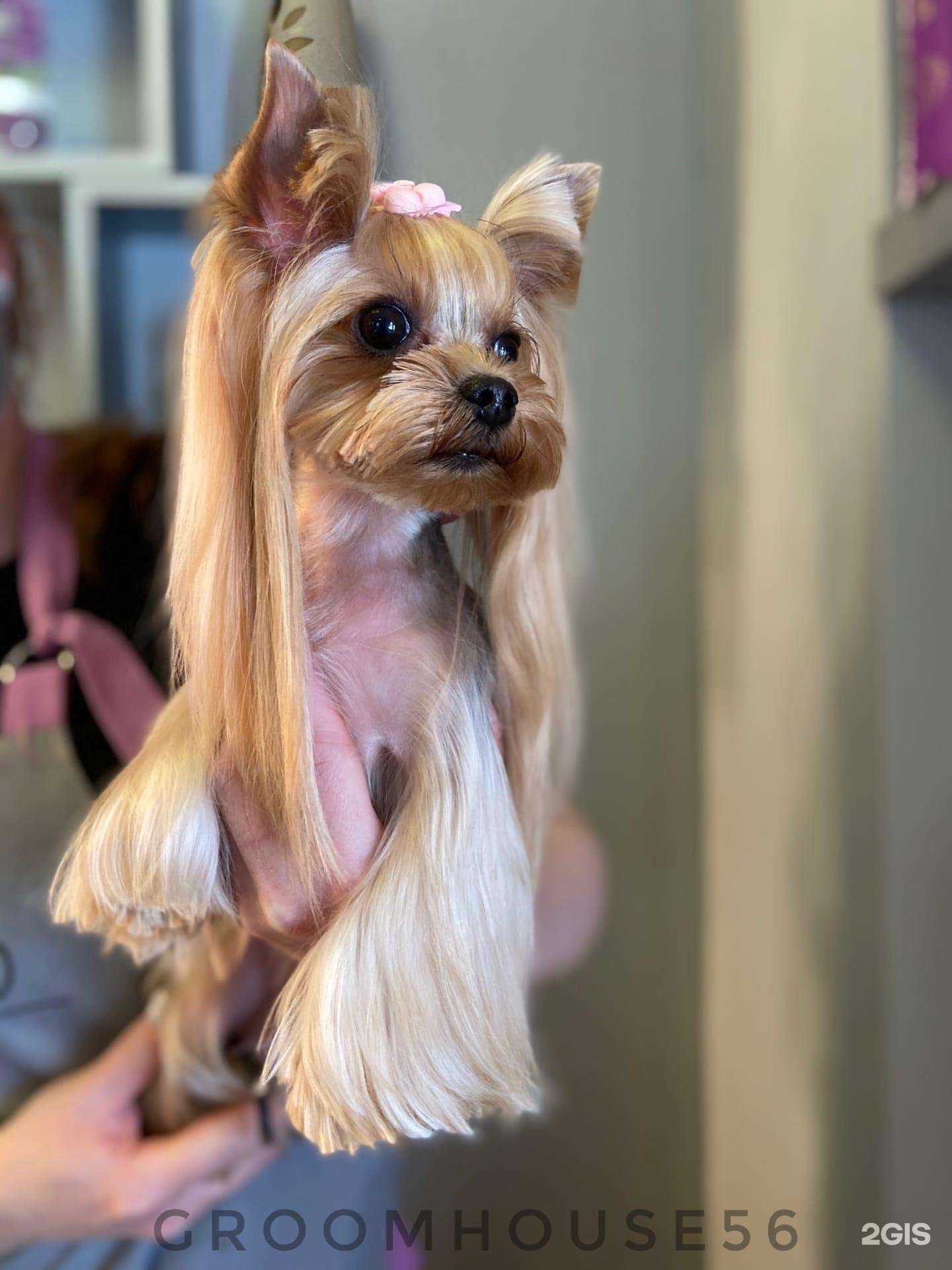 Отзывы на компанию Groom House в Оренбурге c фото