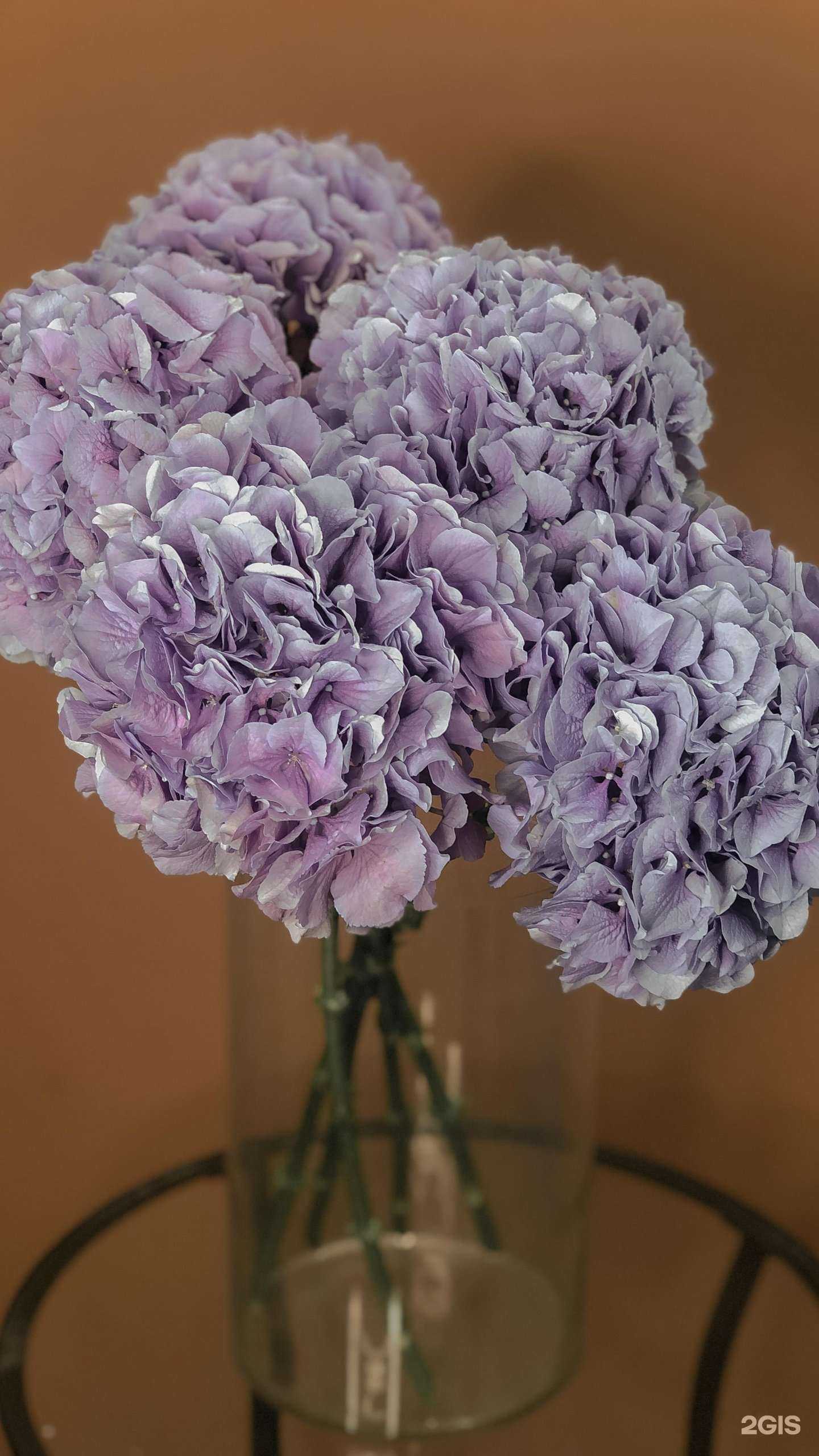 Отзывы на компанию Планета цветов в г. Нижнекамск c фото