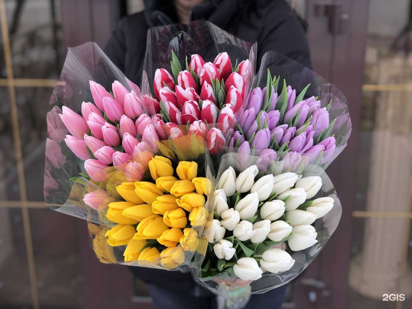 Отзывы на компанию La scala в Астрахани c фото