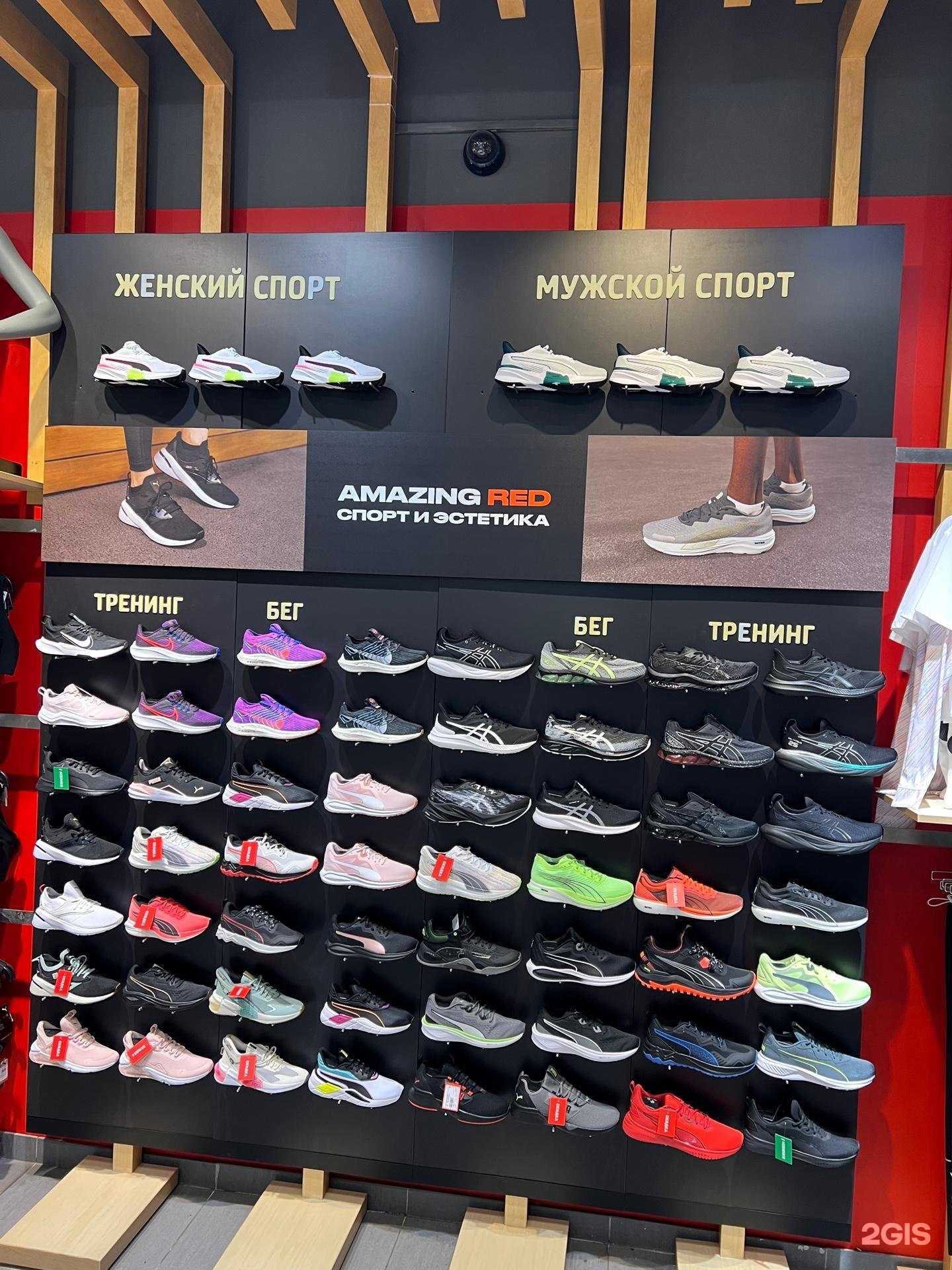 Отзывы на компанию Amazing red в г. Краснодар c фото