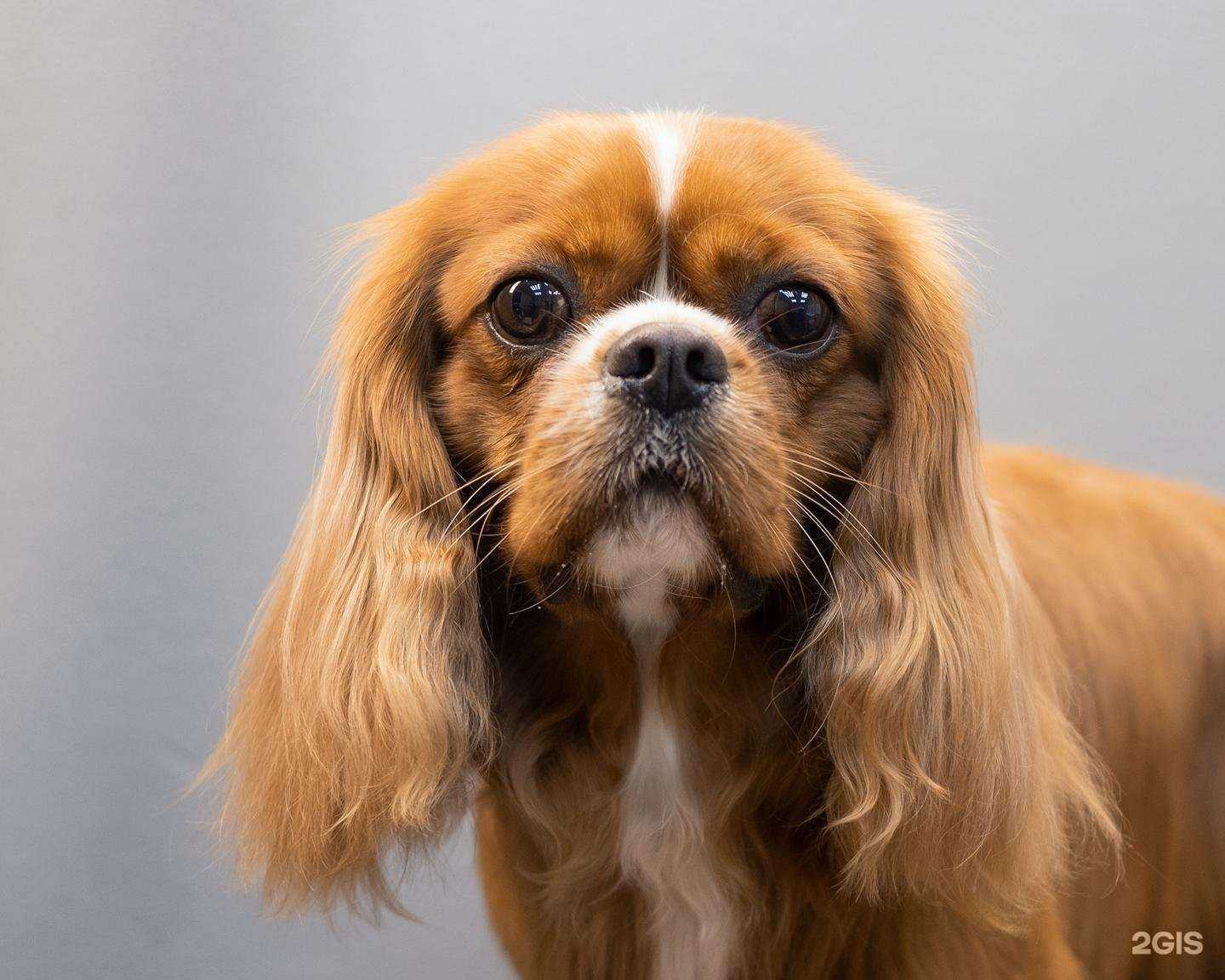 Отзывы на компанию Newйork в Одинцове c фото