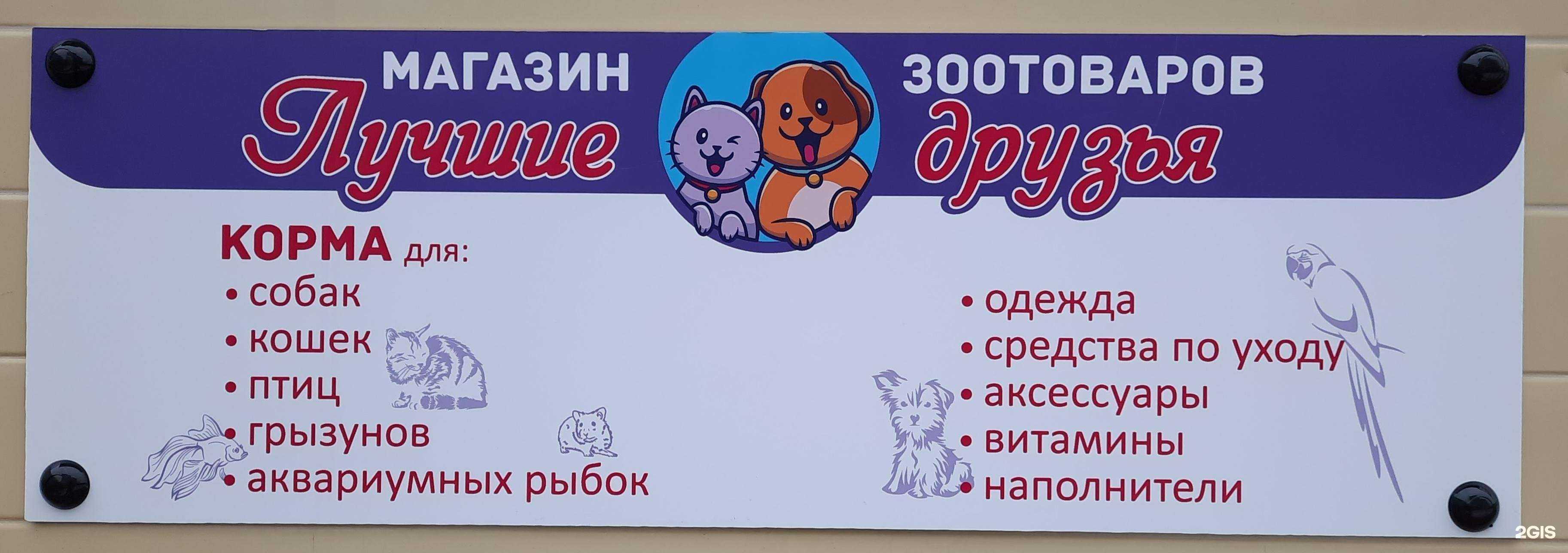 Отзывы на компанию Лучшие друзья в Тольятти c фото