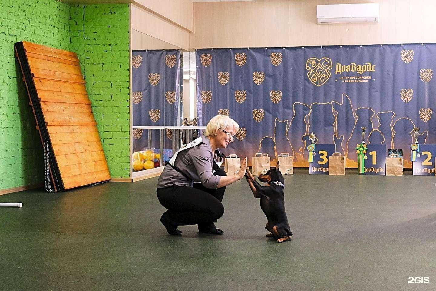 Отзывы на компанию Догвардс в Хабаровске c фото