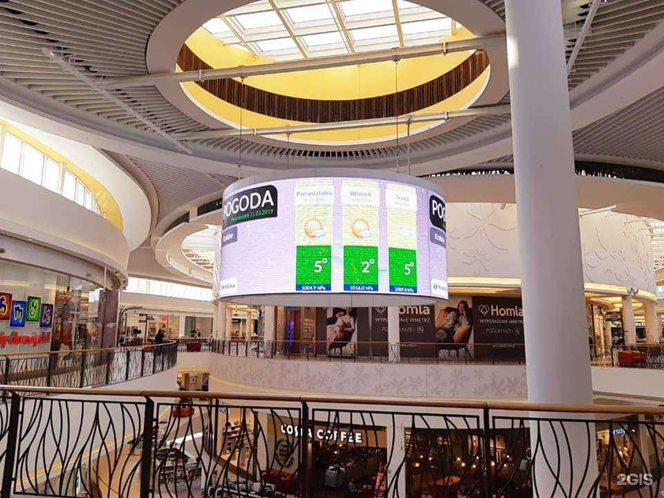 Отзывы на компанию Слон в Калининграде c фото