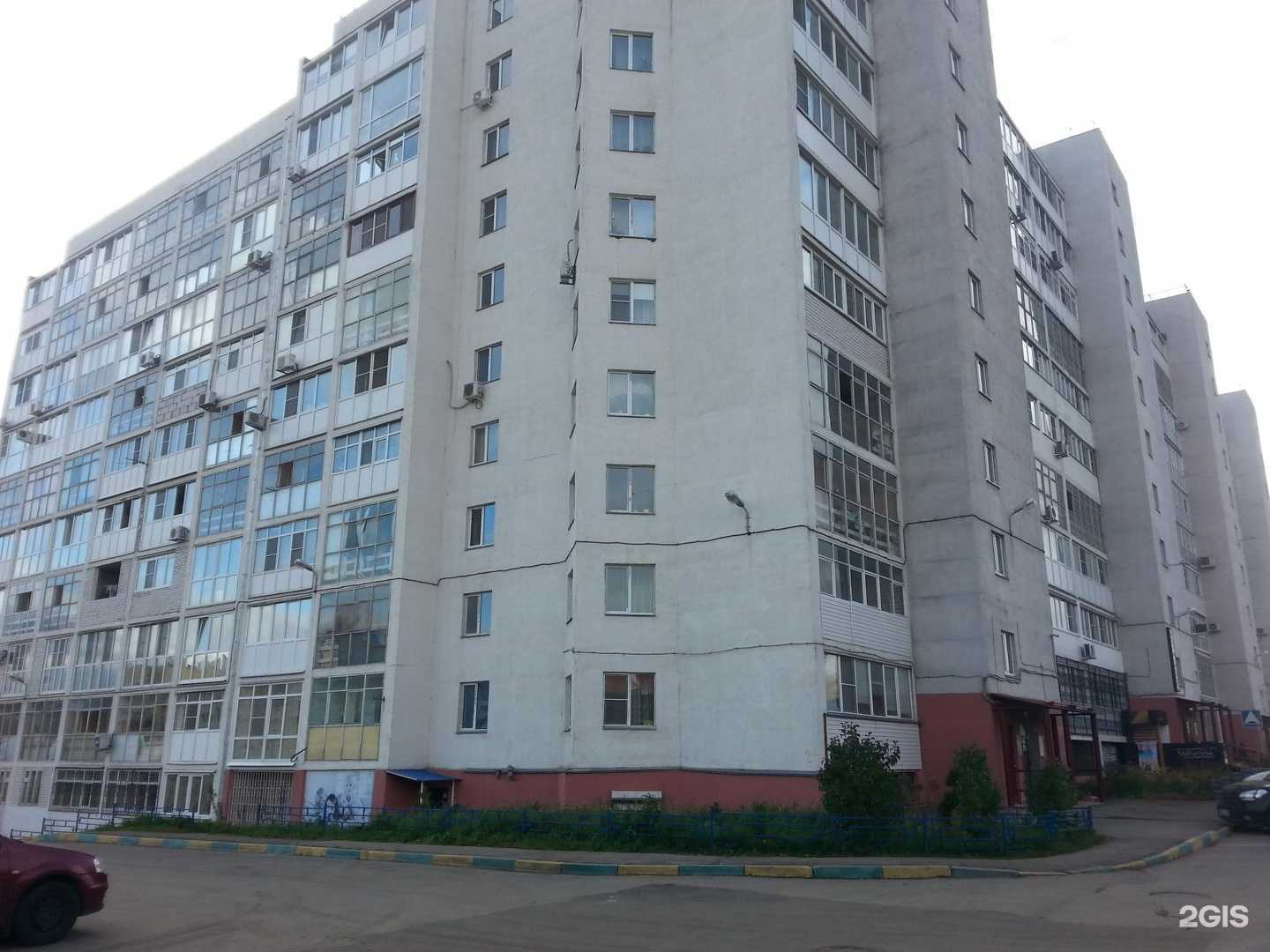 Отзывы на компанию Petz Groom в Нижнем Новгороде c фото - фотография 2 из 2