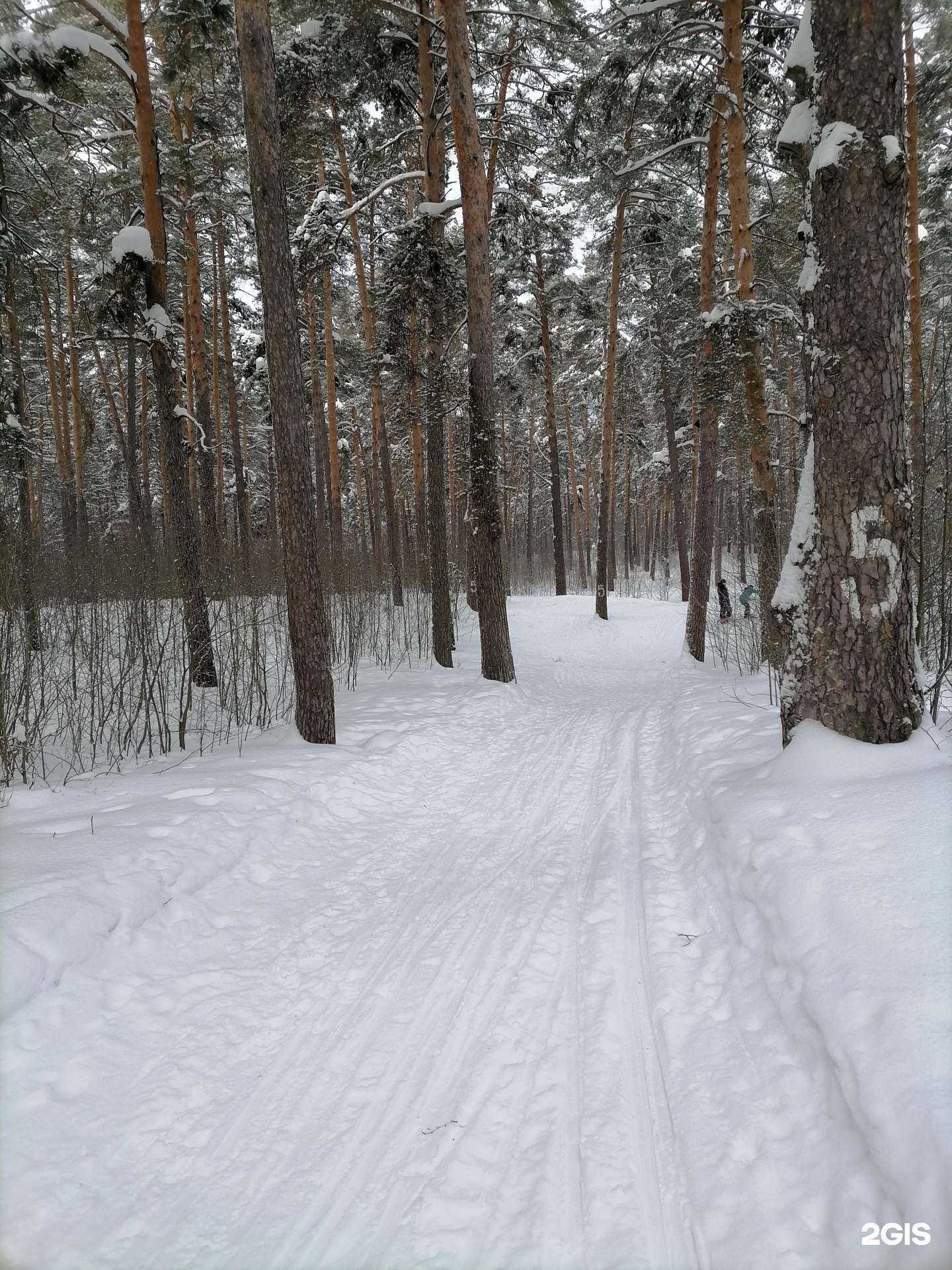 Отзывы на компанию Стригино в Нижнем Новгороде c фото