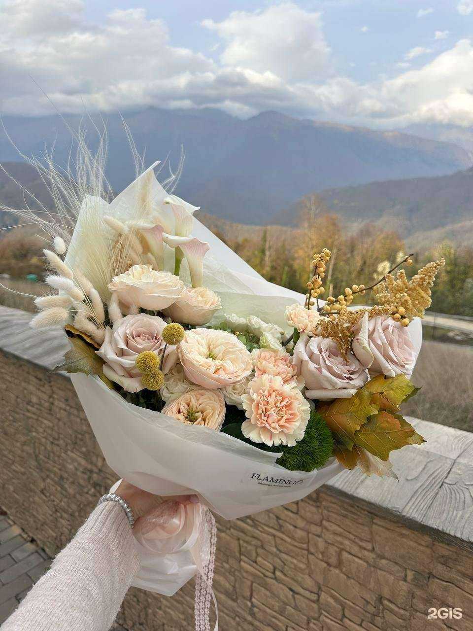 Отзывы на компанию Flamingo в г. Сочи c фото