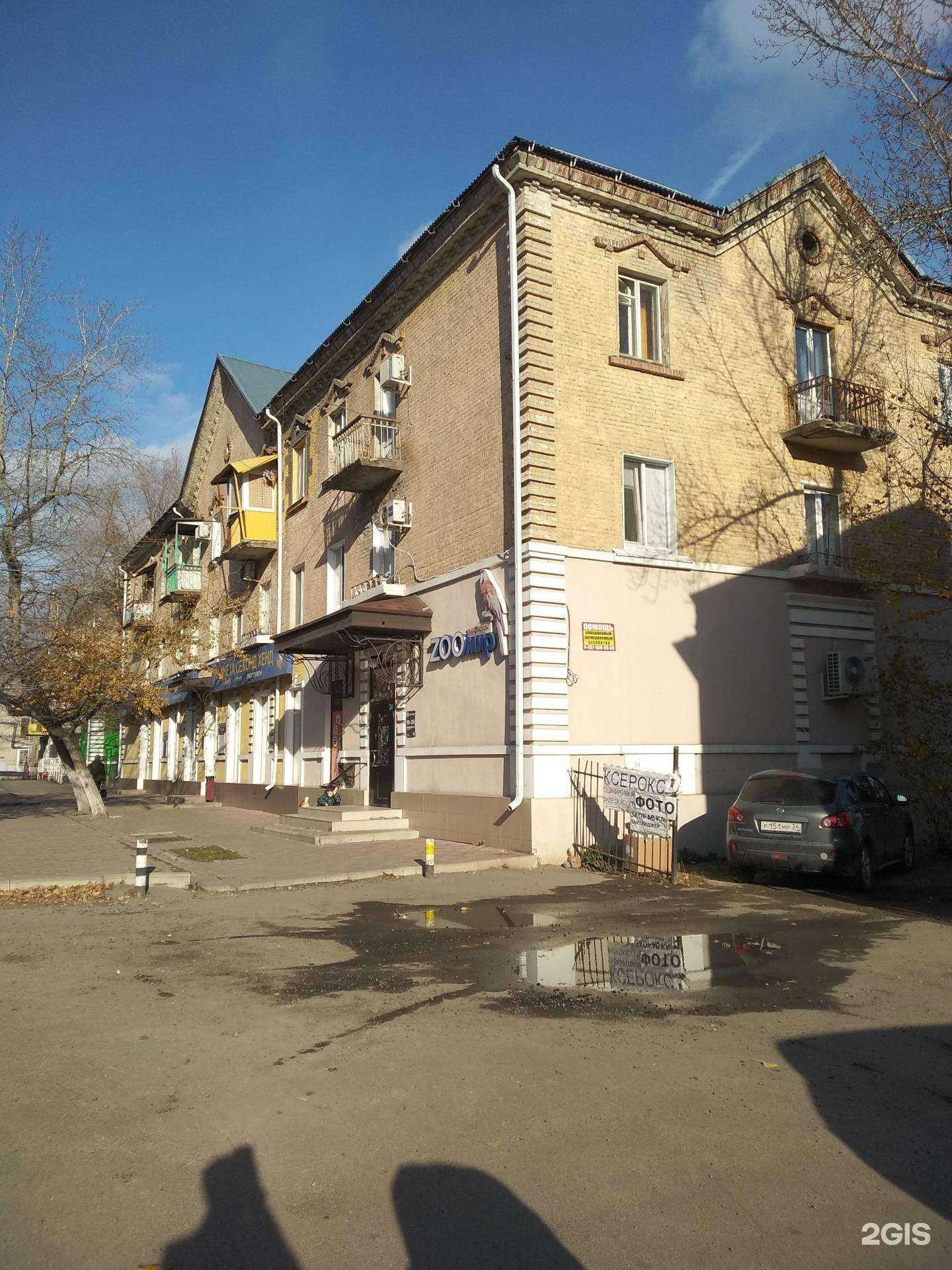 Отзывы на компанию Zooмир в Саратове c фото - фотография 2 из 2