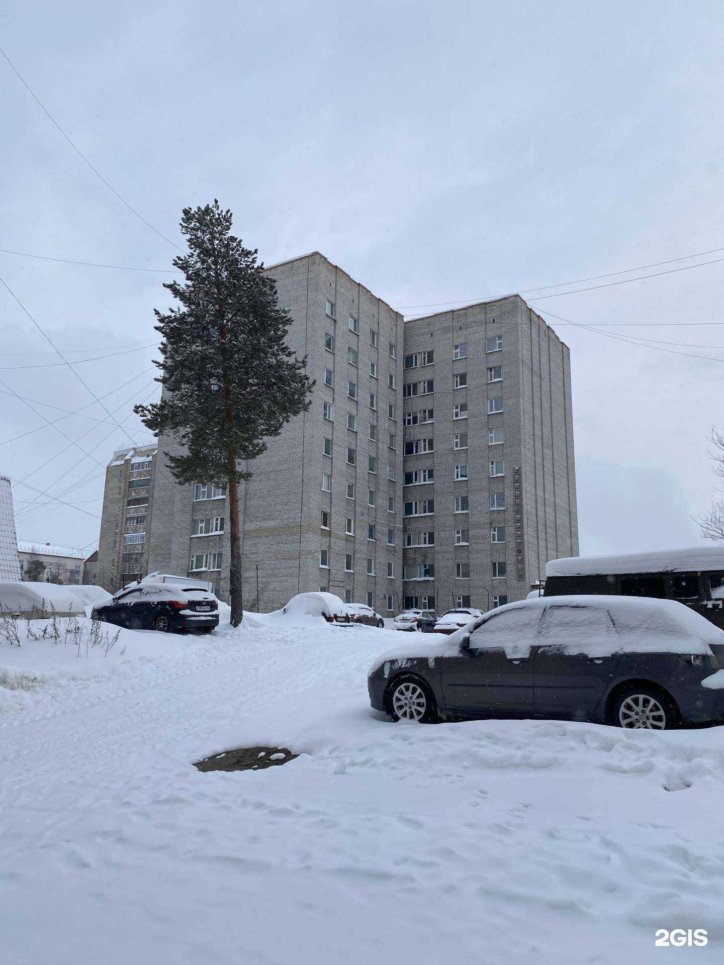 Отзывы на компанию Всё для рыбалки в Ноябрьске c фото - фотография 2 из 2