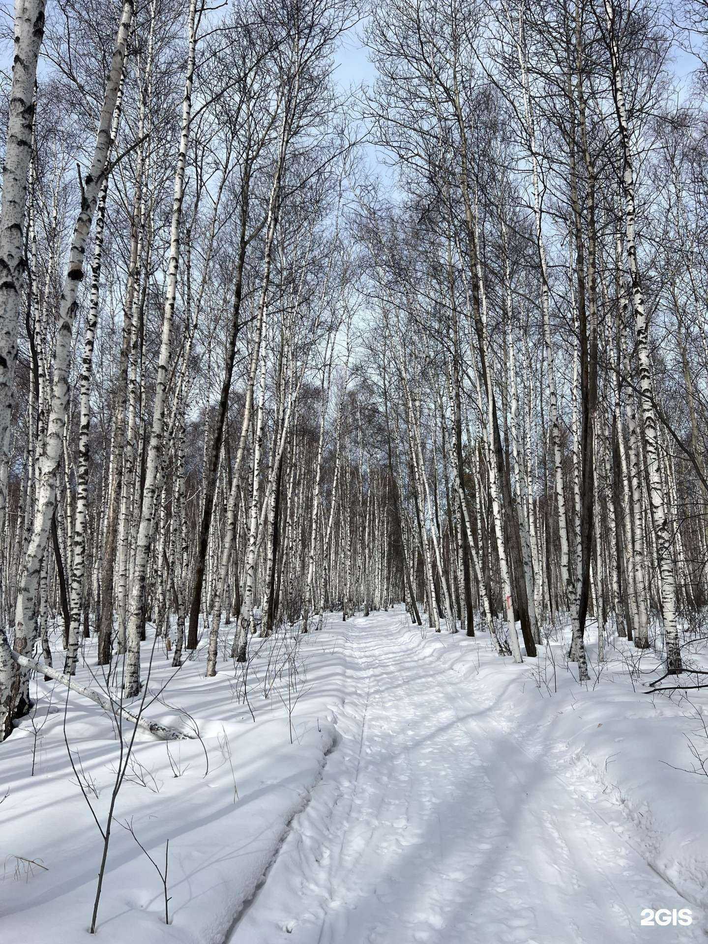 Отзывы на компанию Нотариус Закирова В.М. в Ангарске c фото