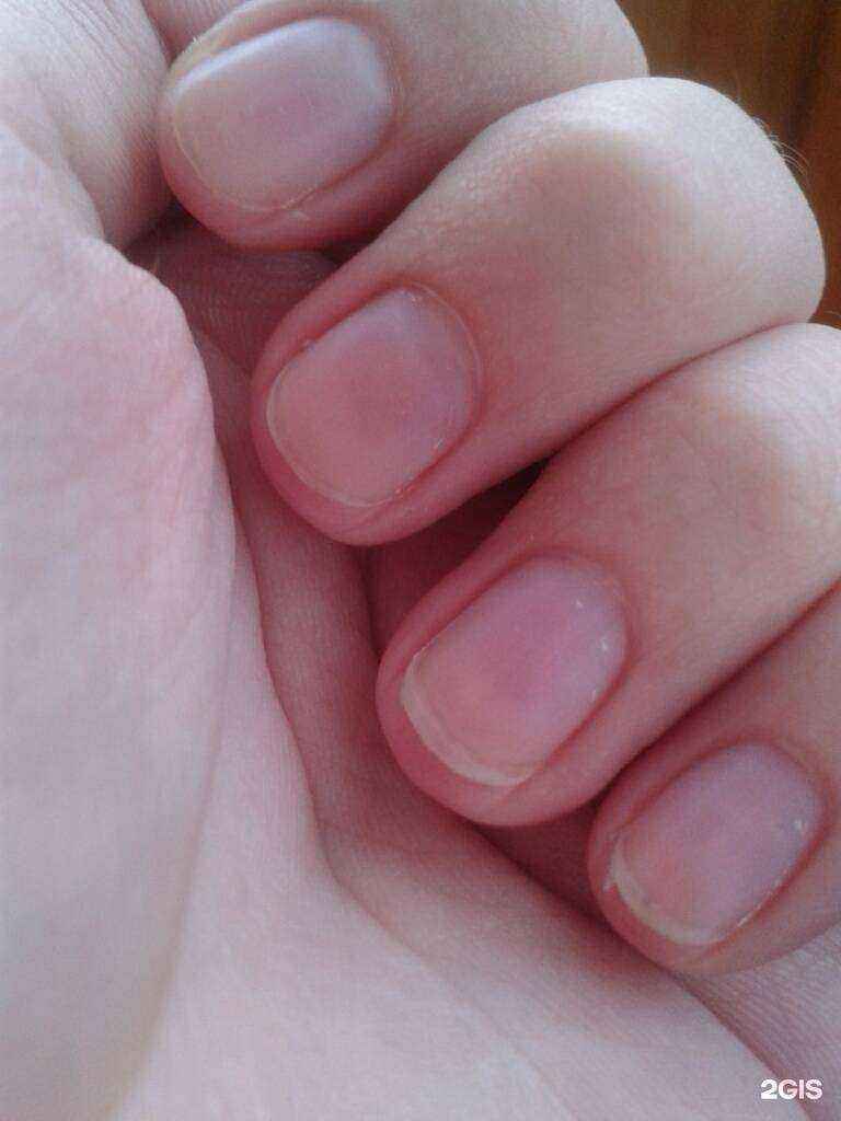 Отзывы на компанию Ванесса в г. Екатеринбург c фото