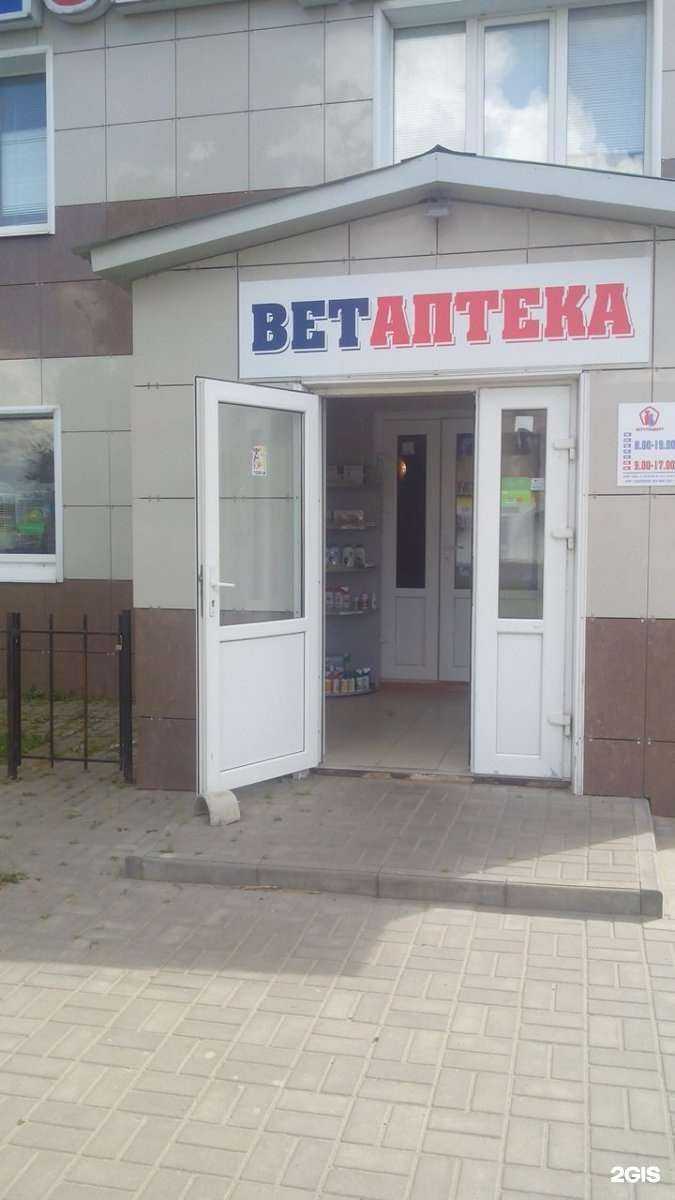 Отзывы на компанию Ветстандарт в Тамбове c фото