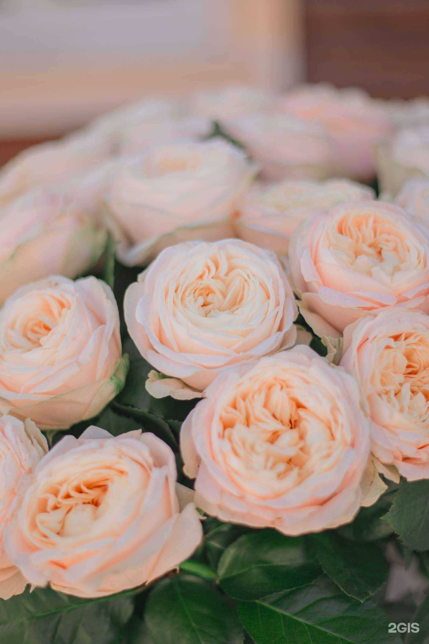 Отзывы на компанию Флора-цветы в Томске c фото