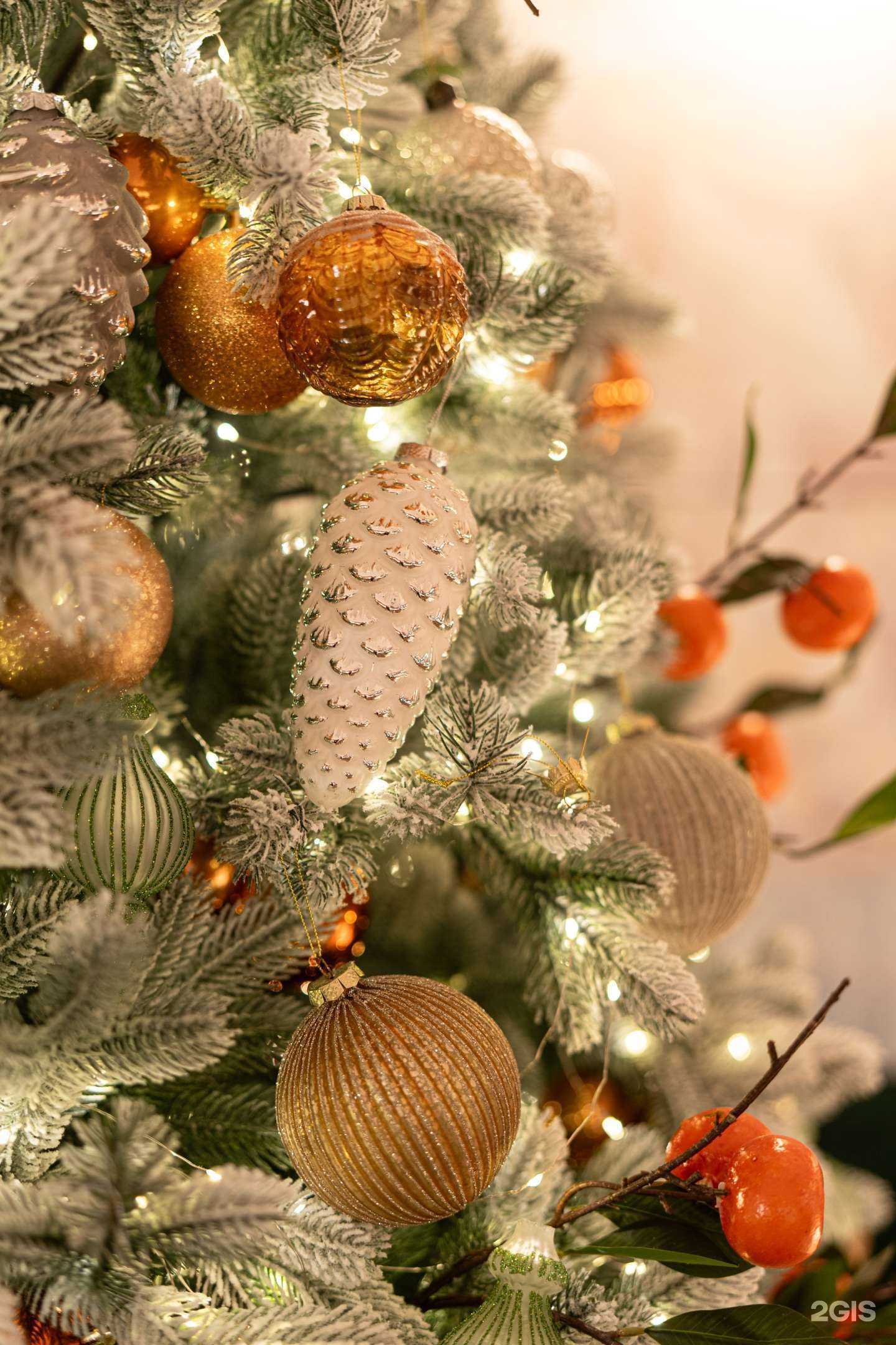 Отзывы на компанию Минисыроварня в Ростове-на-Дону c фото