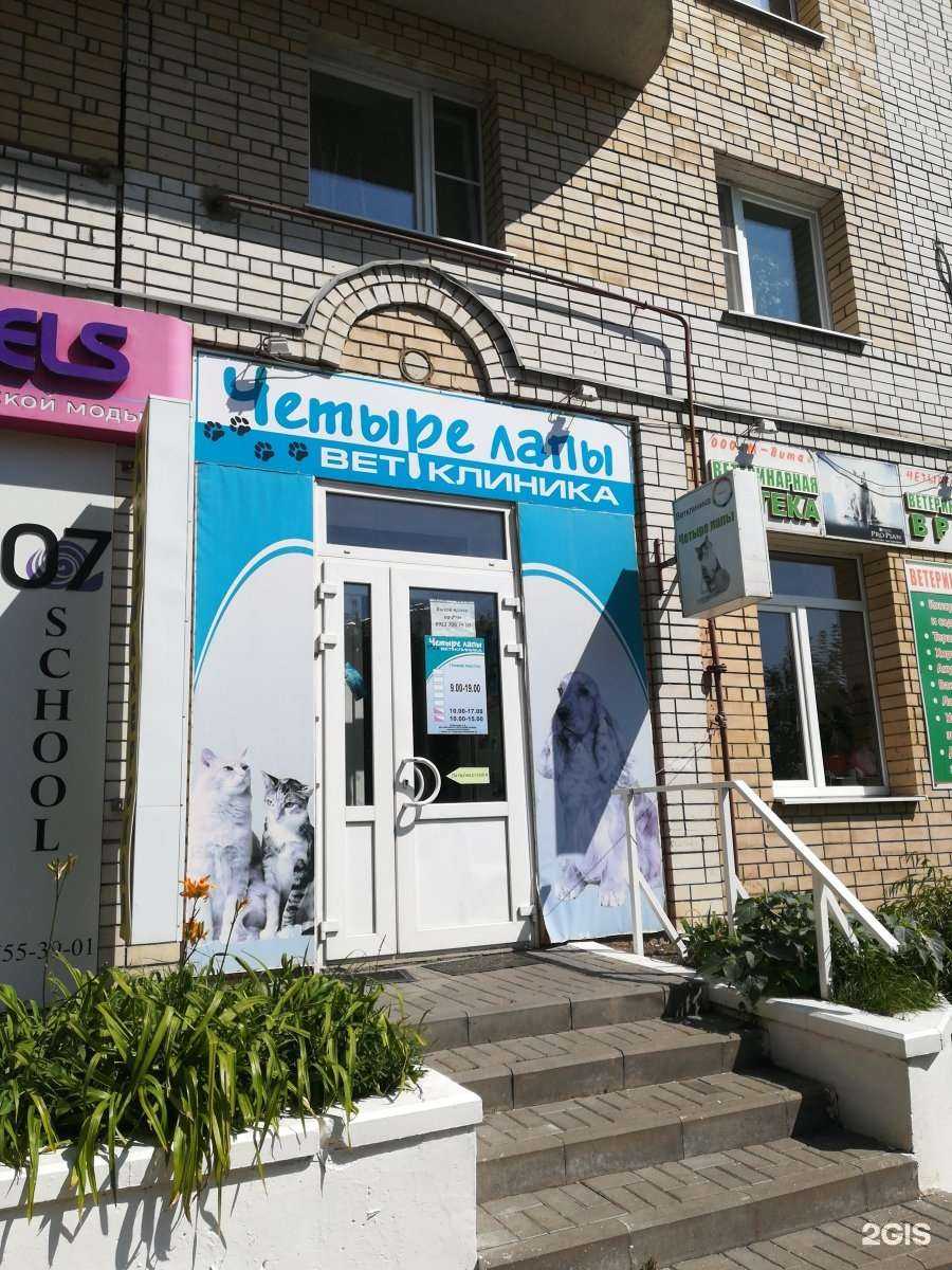 Отзывы на компанию Добрые лапы в Тамбове c фото