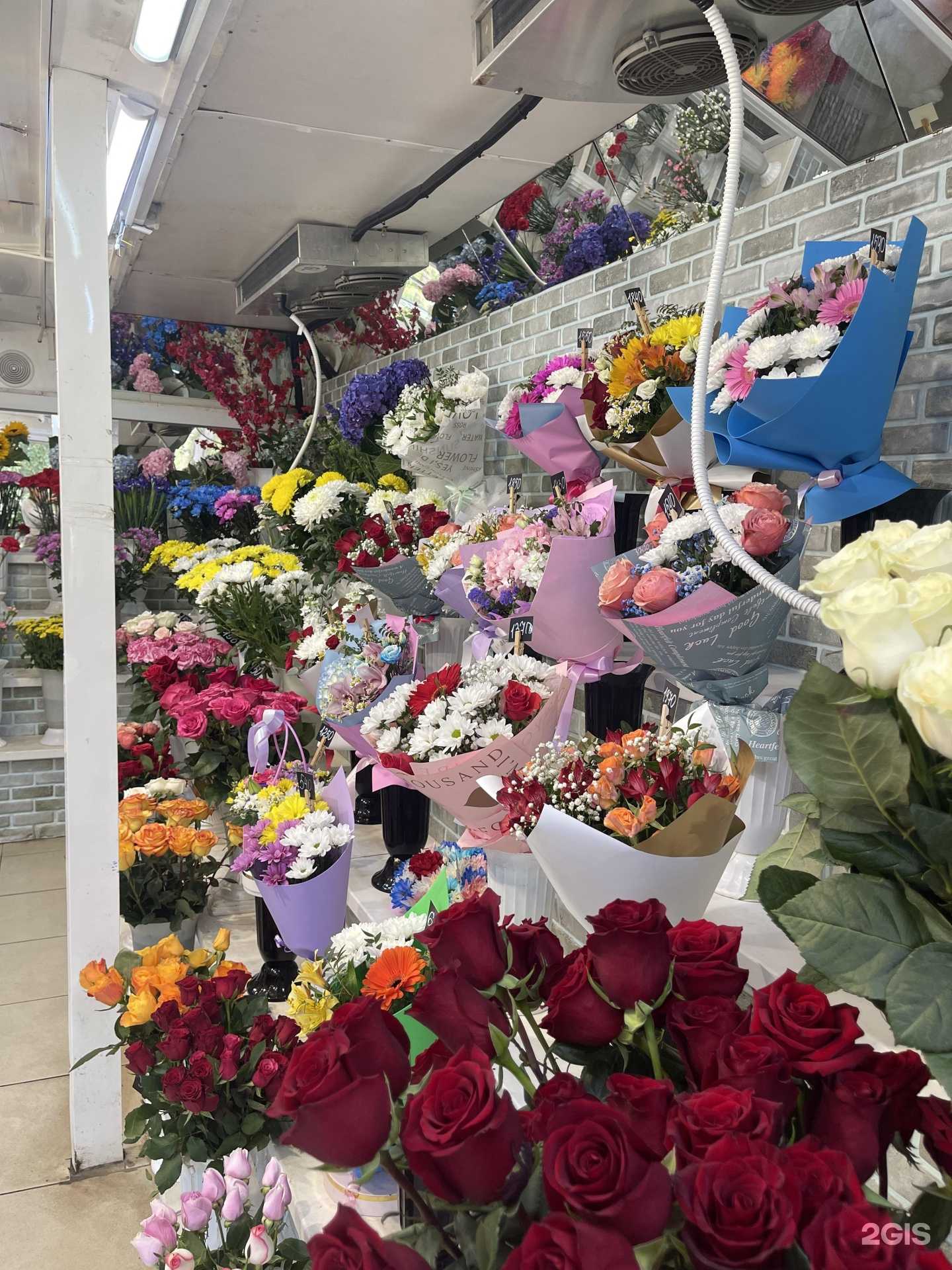 Отзывы на компанию Белая роза в Ярославле c фото