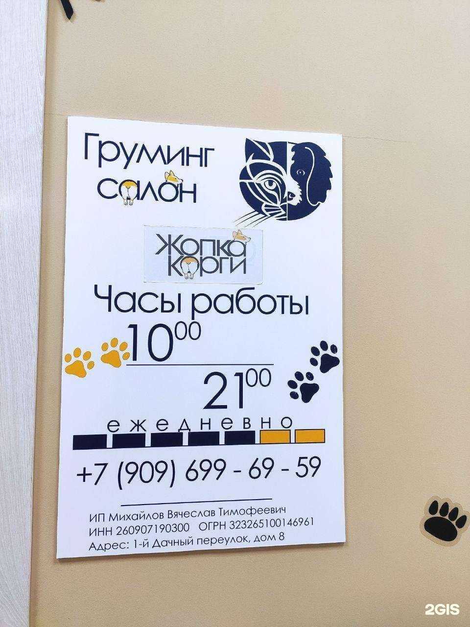 Отзывы на компанию Жопка Корги в Химках c фото