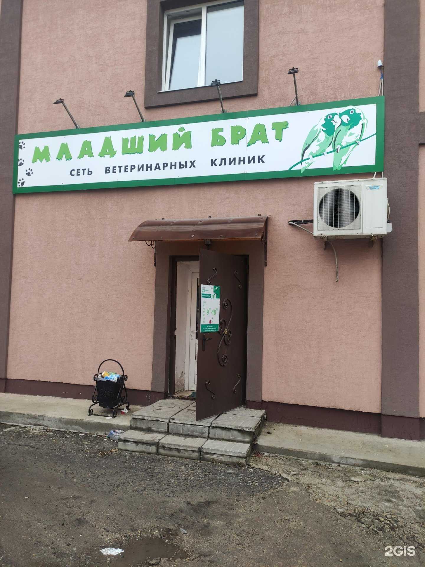 Отзывы на компанию Младший брат в г. Коломна c фото