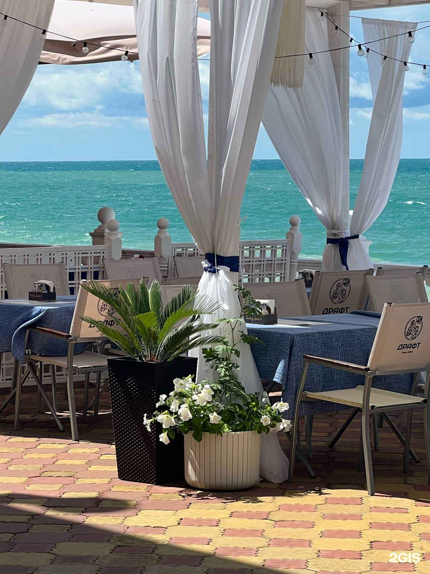 Отзывы на компанию Дельфин  в Сочи c фото