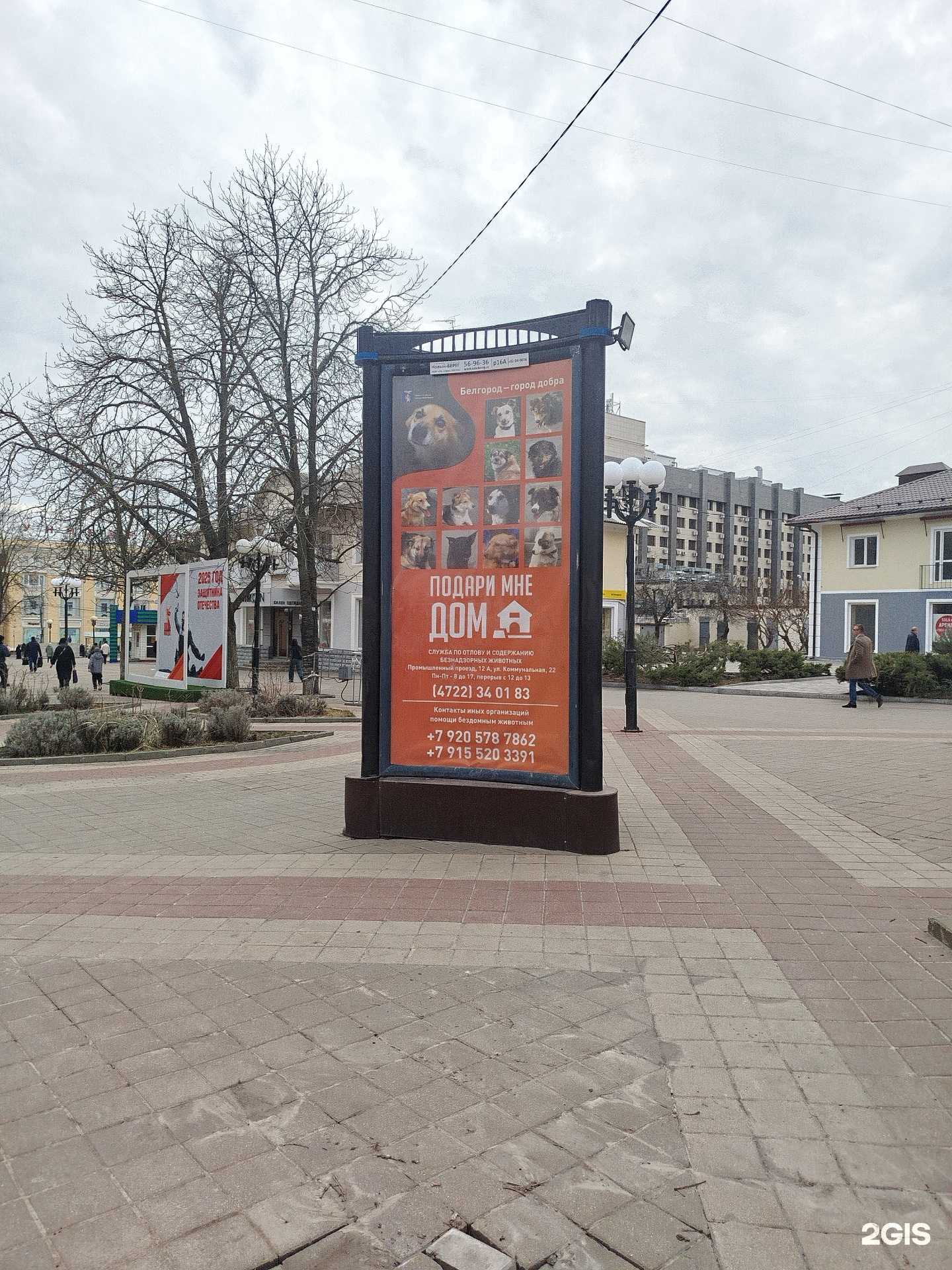 Отзывы на компанию Служба по отлову и содержанию бездомных животных в Белгороде c фото