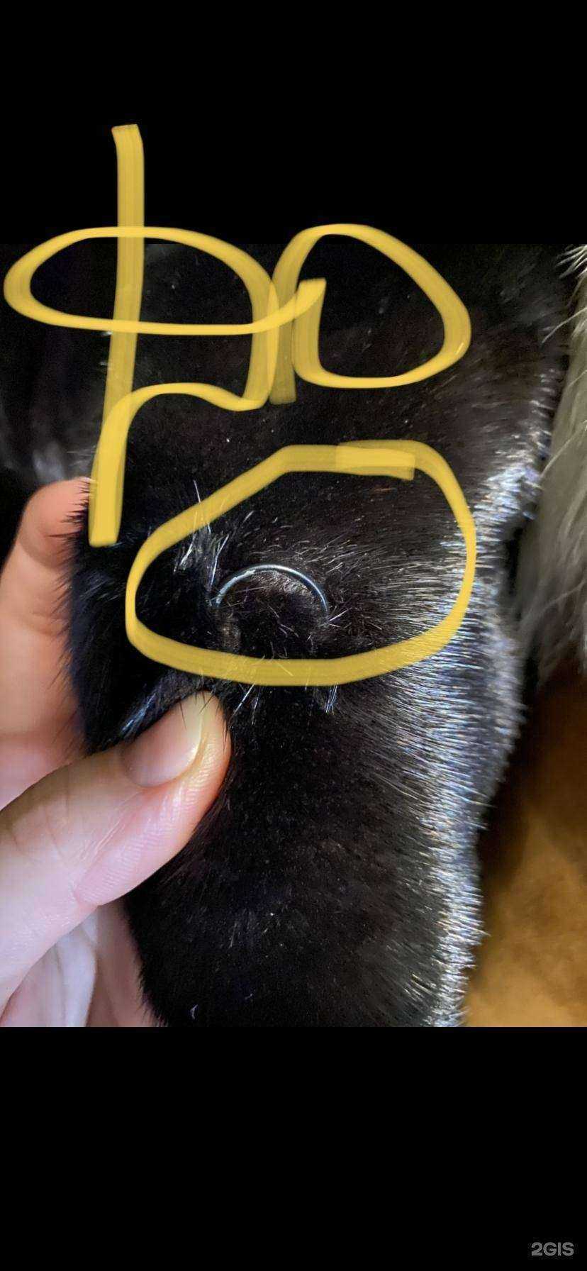 Отзывы на компанию Ателье по ремонту одежды в Новосибирске c фото