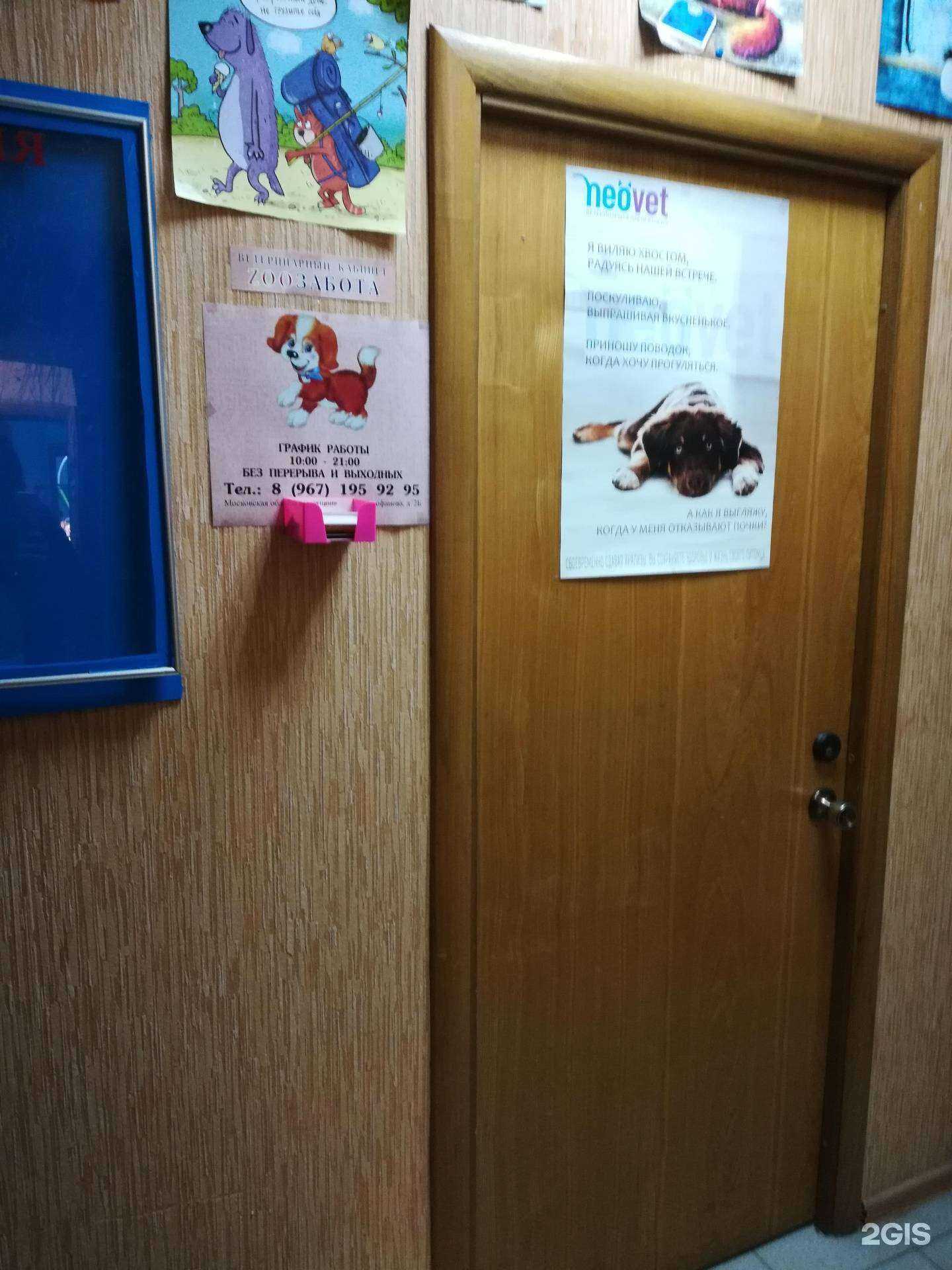 Отзывы на компанию Zooзабота в г. Люберцы c фото