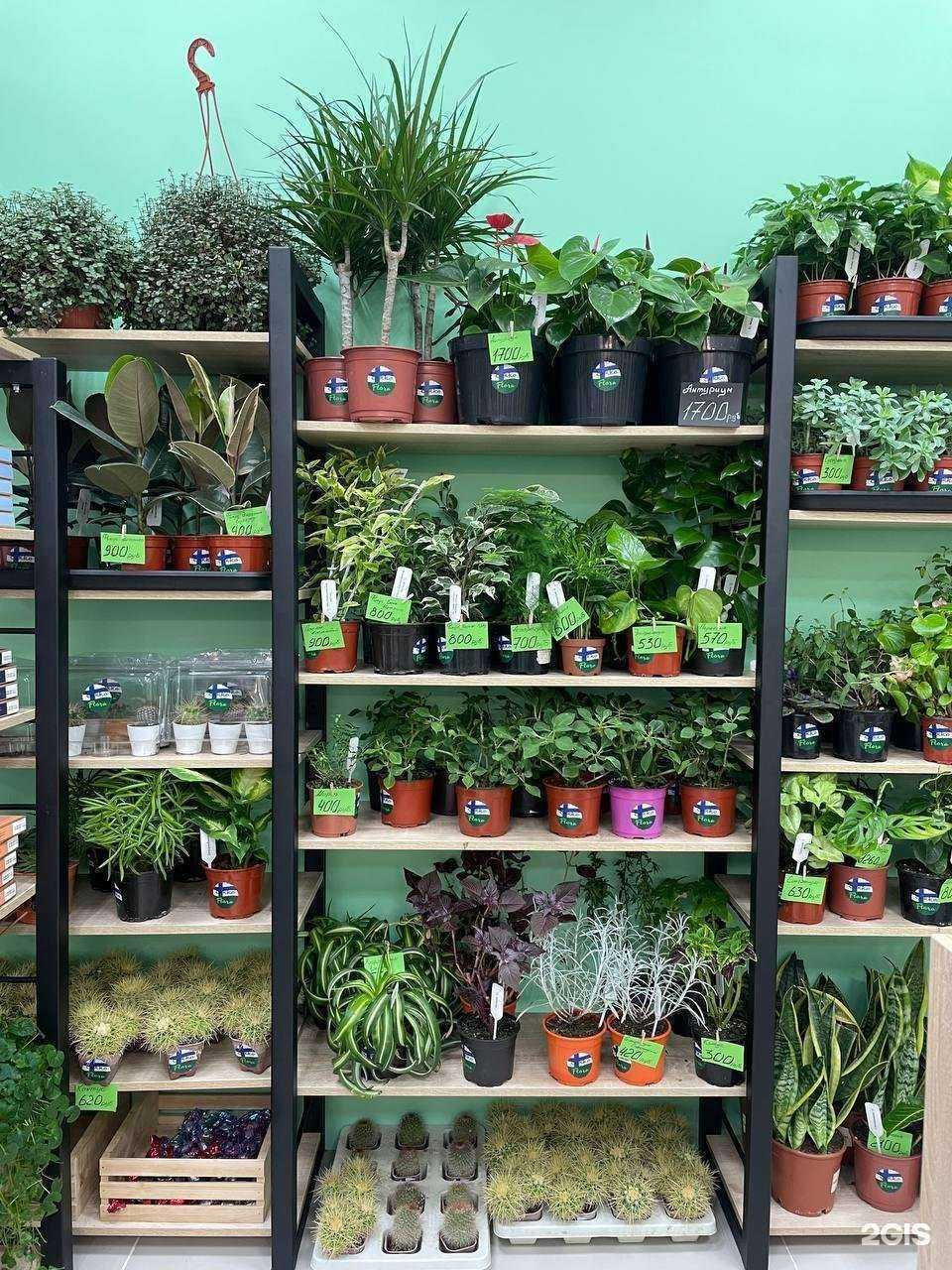 Отзывы на компанию Lillel Eliksiiri в Кемерове c фото