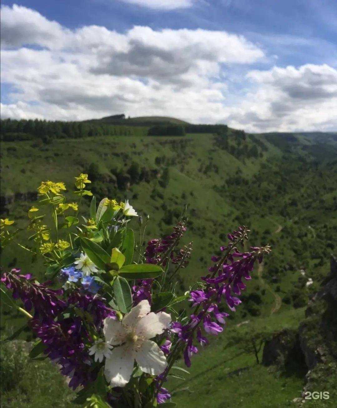 Отзывы на компанию Бронь КМВ в г. Кисловодск c фото
