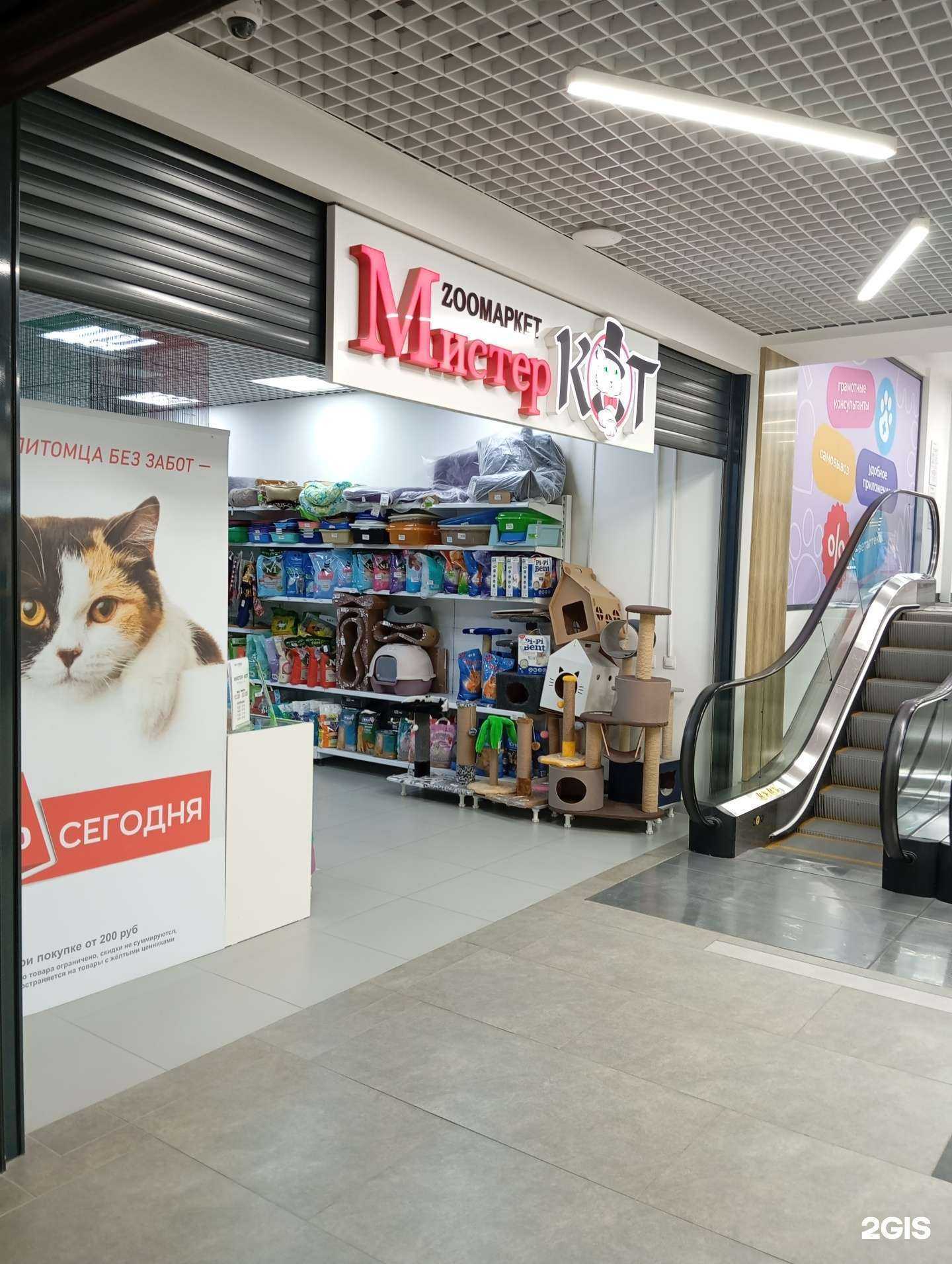 Отзывы на компанию Мистер Кот в Воронеже c фото