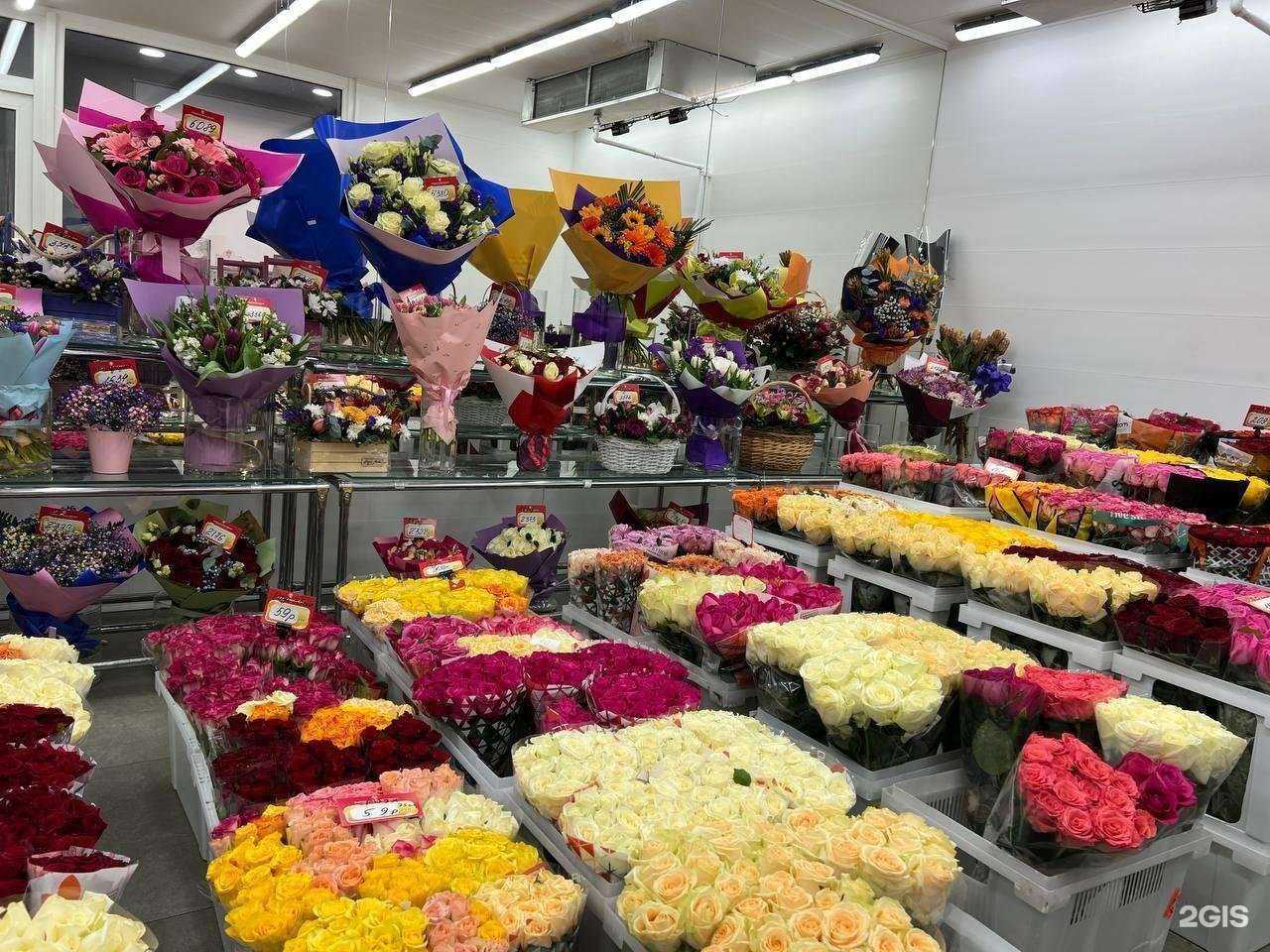 Отзывы на компанию Городская база цветов в г. Коммунарка c фото