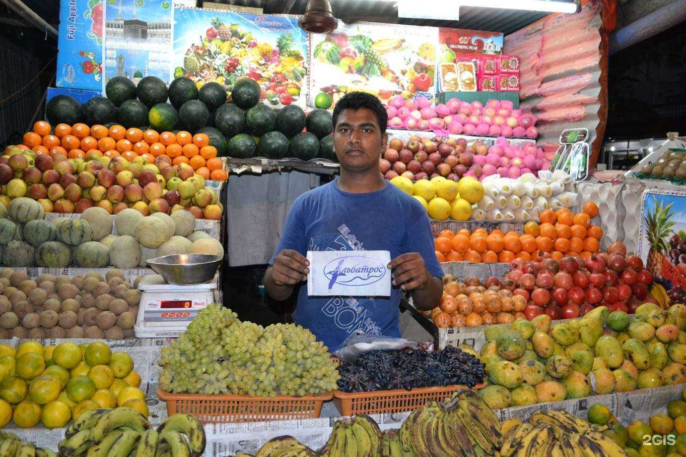 Отзывы на компанию Альбатрос в Кургане c фото