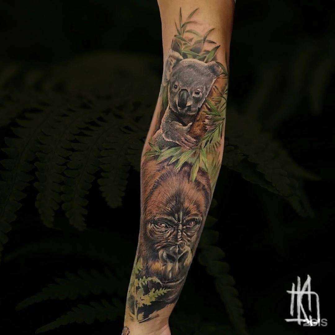 Отзывы на компанию Koztatoo в Сочи c фото