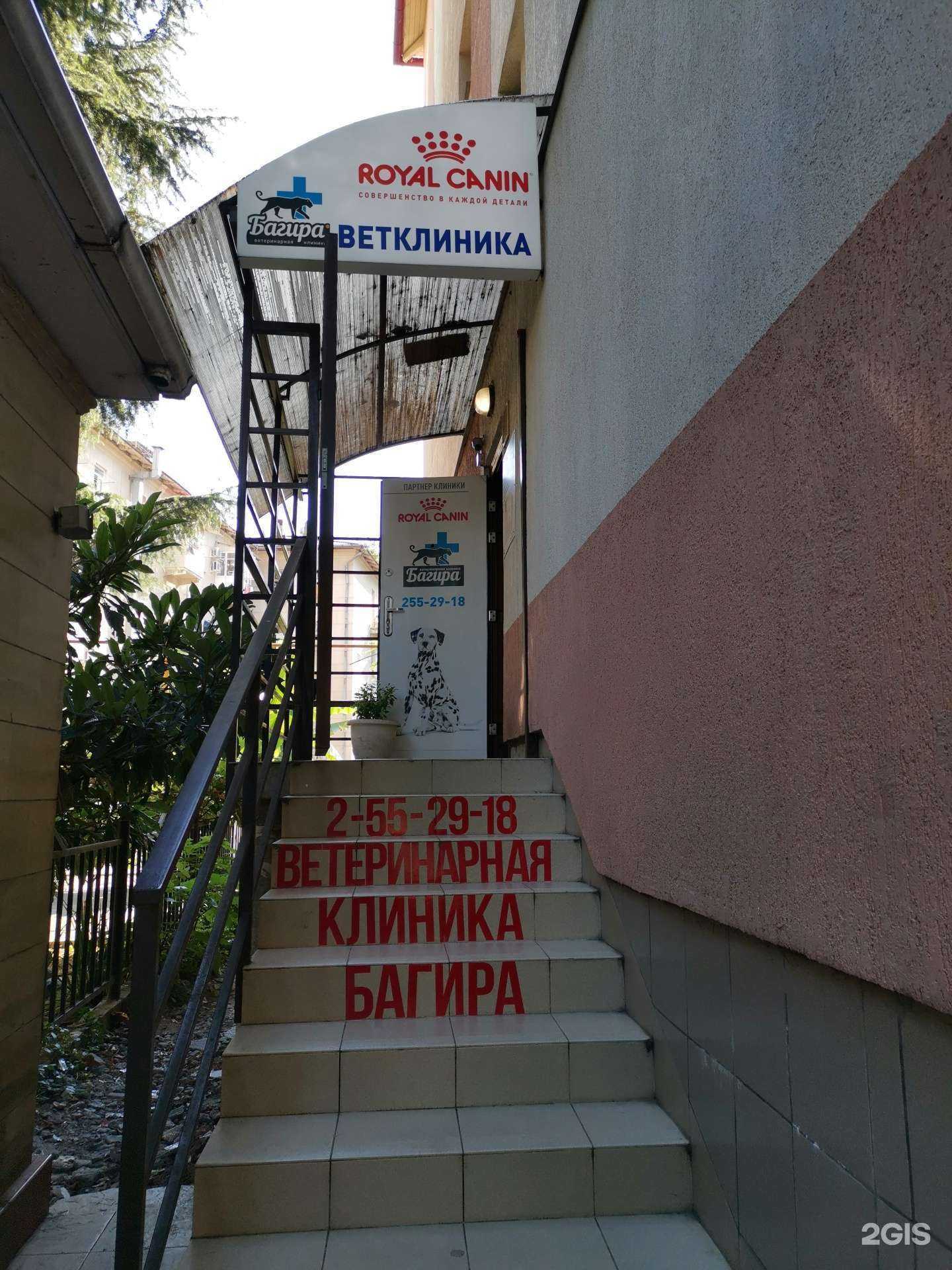 Отзывы на компанию Багира в г. Сочи c фото