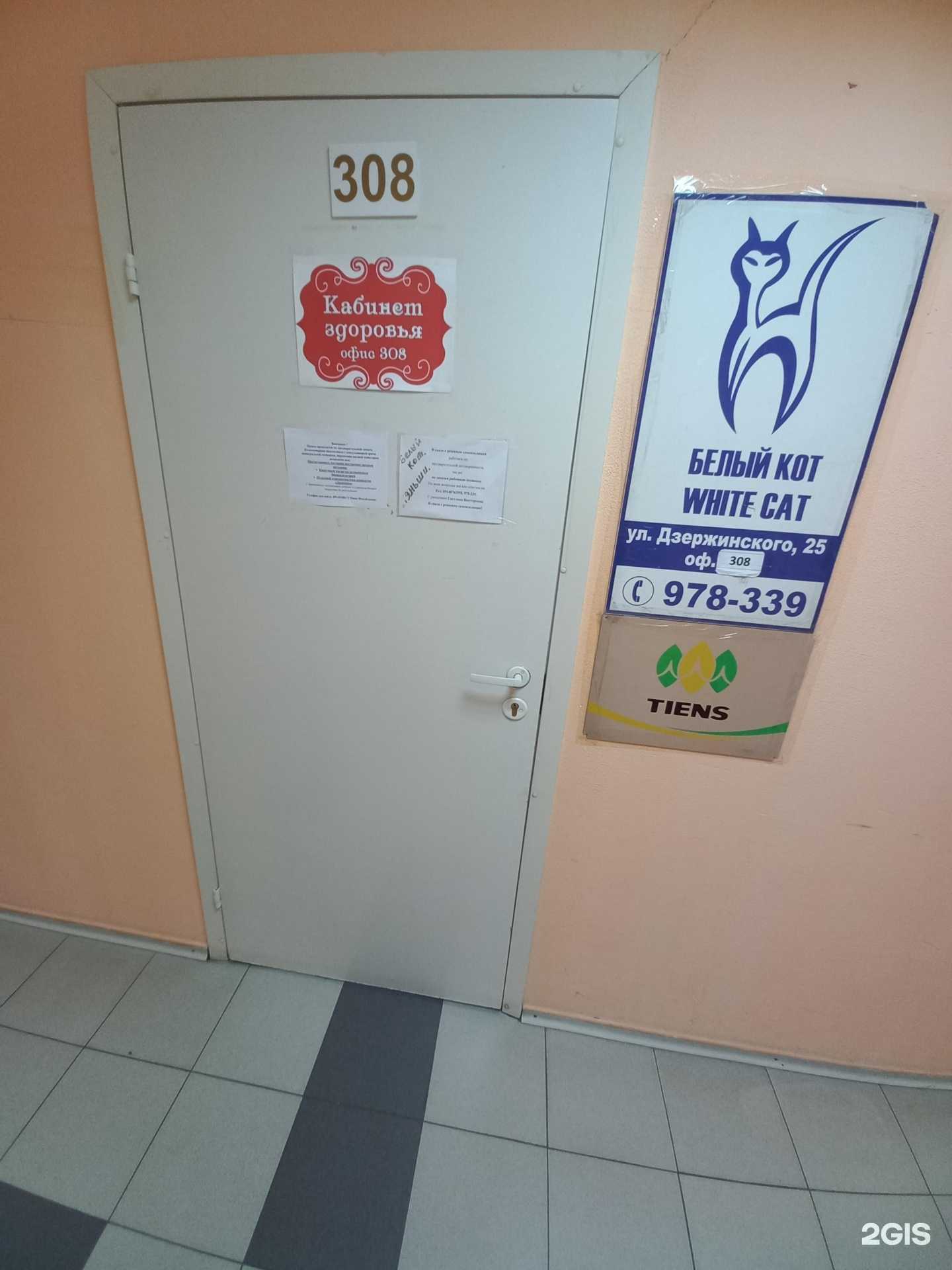 Отзывы на компанию Белый кот в Иркутске c фото