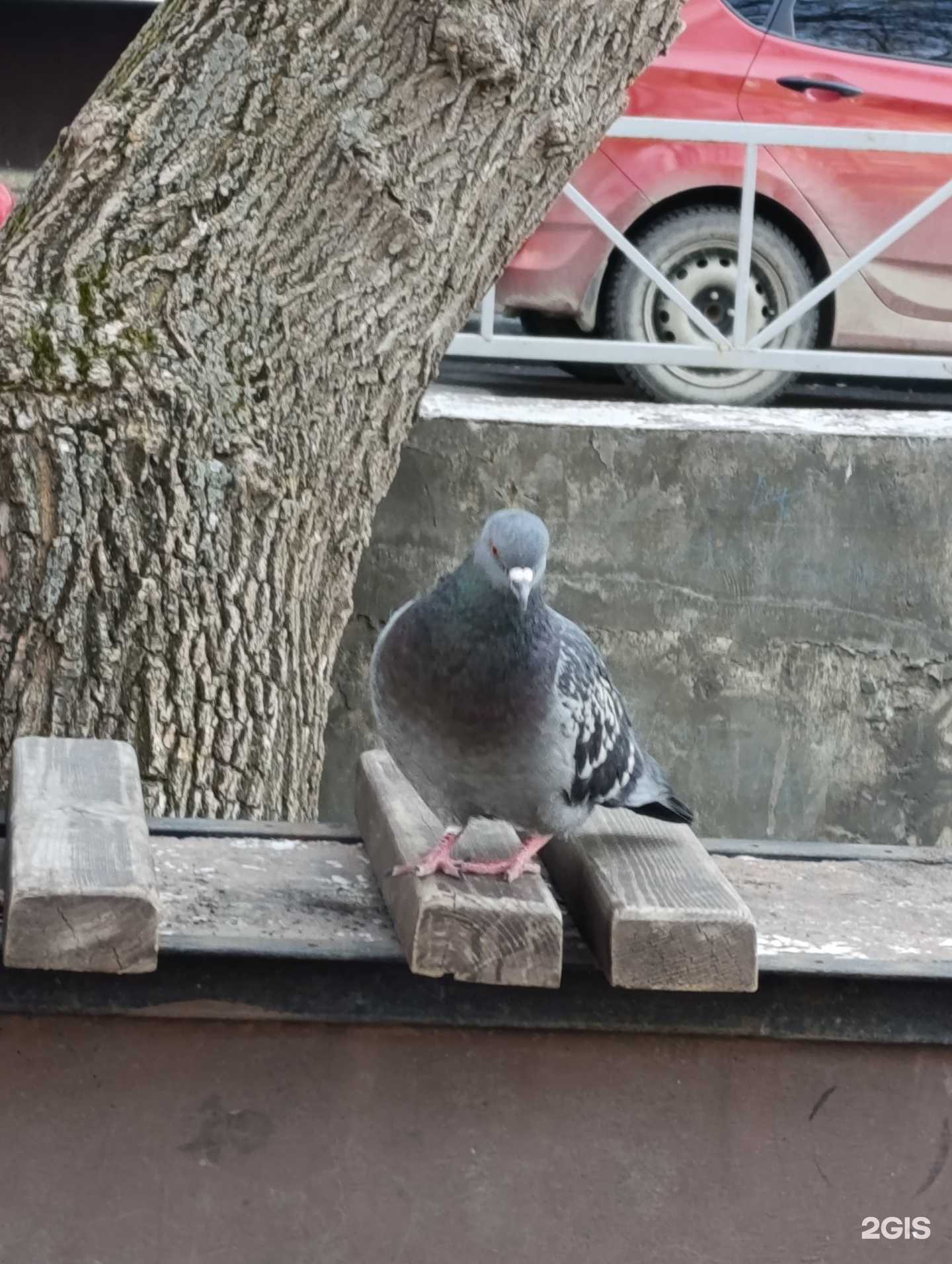 Отзывы на компанию Викитория в Озёрске c фото