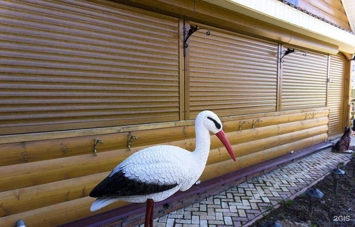 Отзывы на компанию Ролис в г. Чебоксары c фото