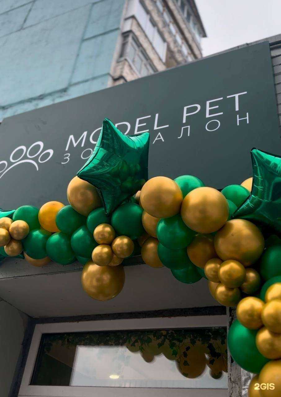 Отзывы на компанию Model Pet в Вологде c фото