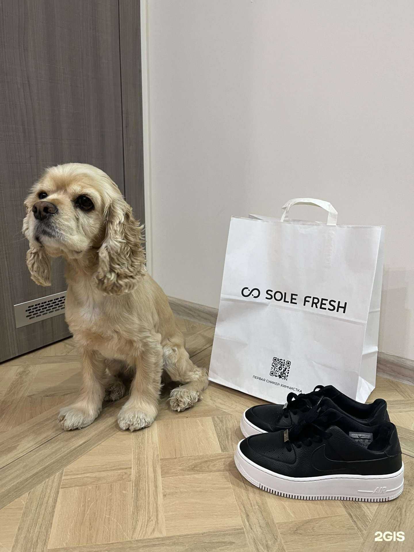 Отзывы на компанию Sole Fresh в Тюмени c фото