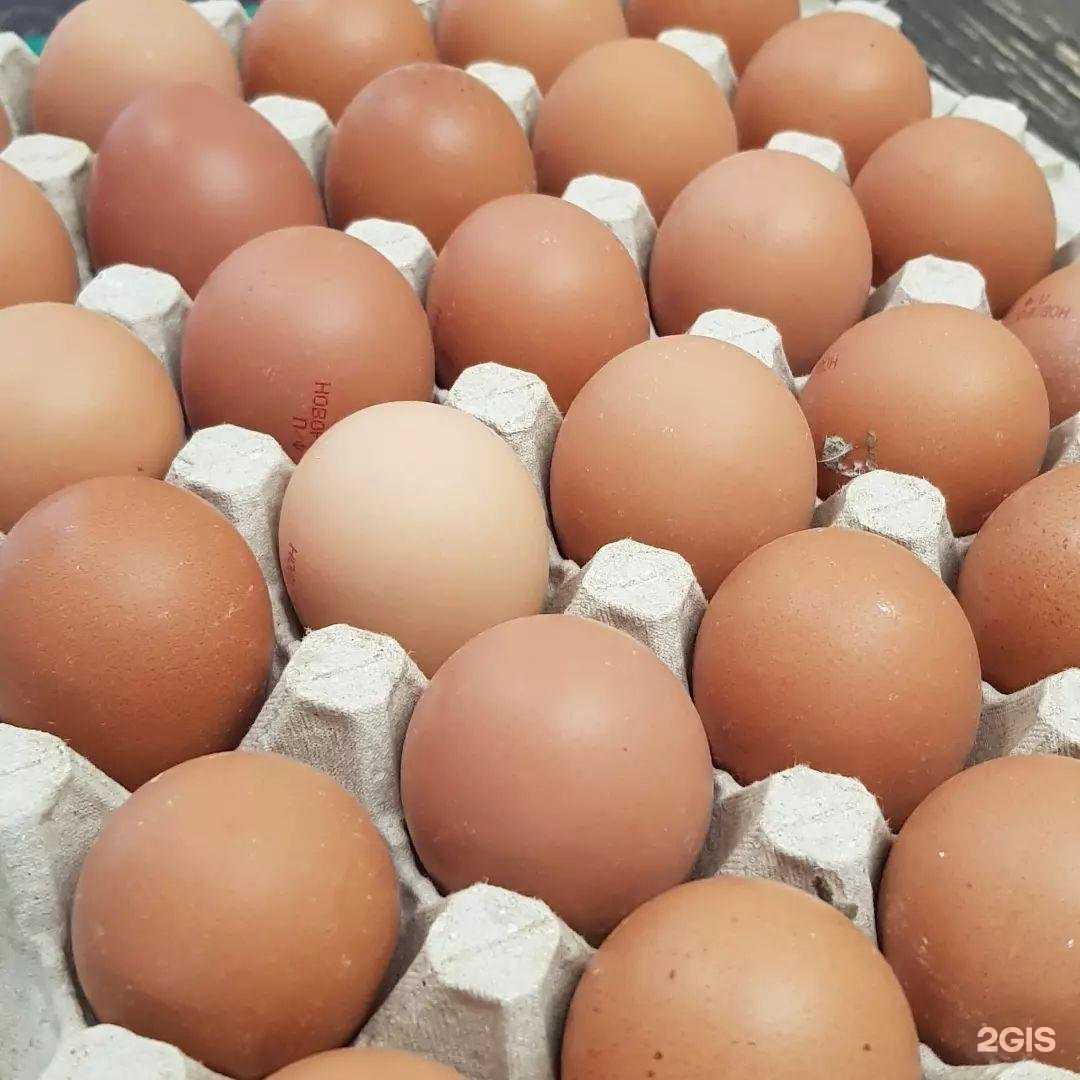 Отзывы на компанию Белореченская птица в Белореченске c фото