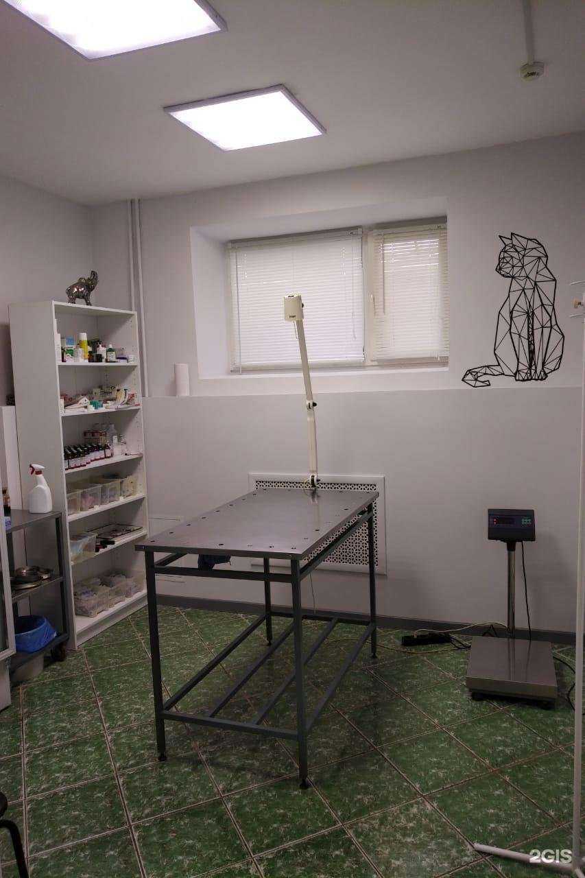 Отзывы на компанию 6 слонов в г. Казань c фото