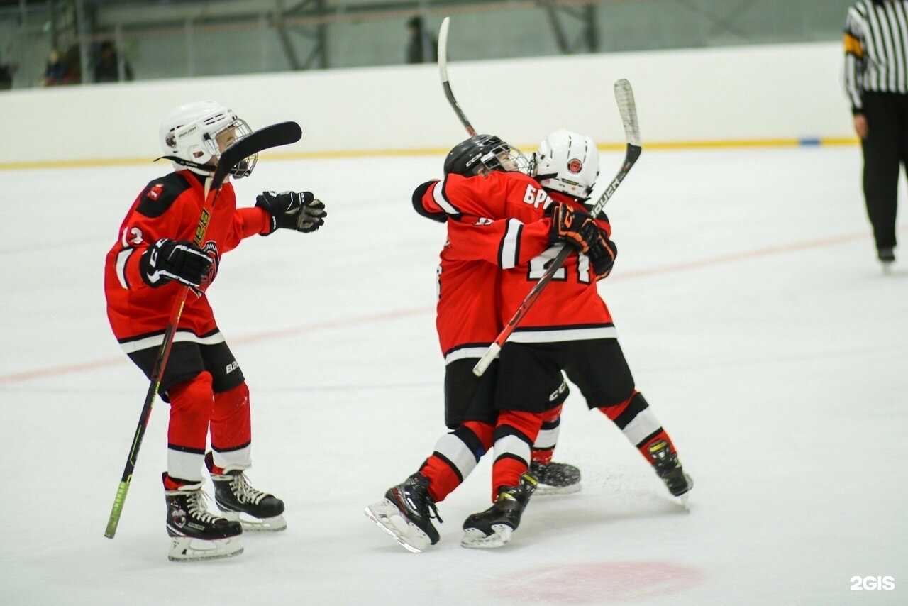 Отзывы на компанию Академия Молот в г. Пермь c фото