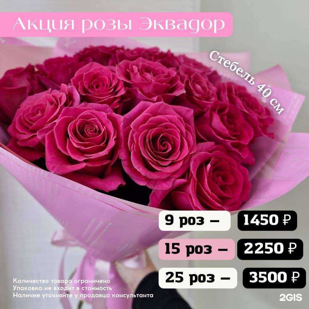 Отзывы на компанию DIVA Роза в г. Красноярск c фото