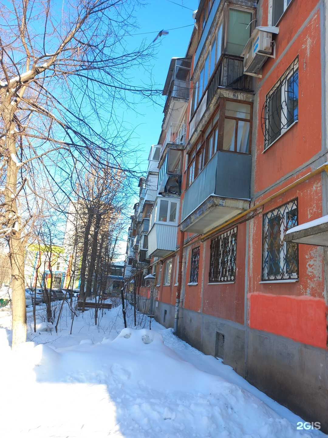 Отзывы на компанию Стрижка и точка в Самаре c фото - фотография 2 из 2