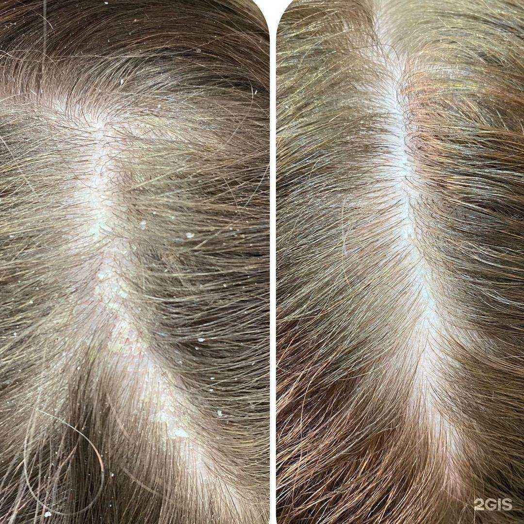 Отзывы на компанию Hair therapy в г. Петропавловск-Камчатский c фото