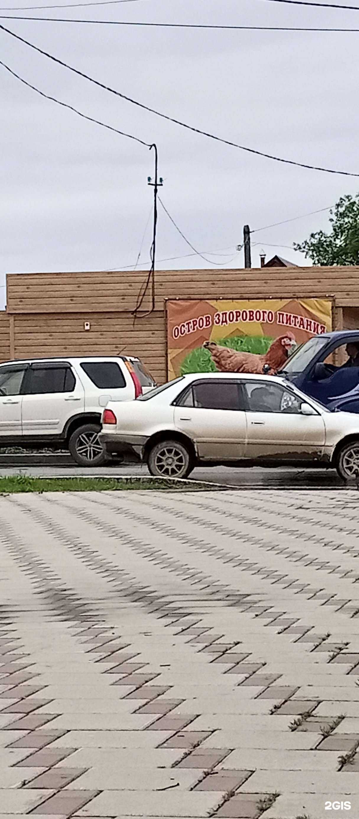 Отзывы на компанию Птицефабрика островная в г. Анива c фото