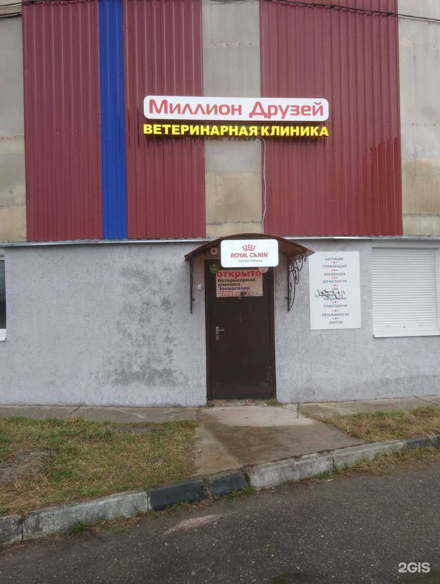 Отзывы на компанию Миллион Друзей в Ярославле c фото