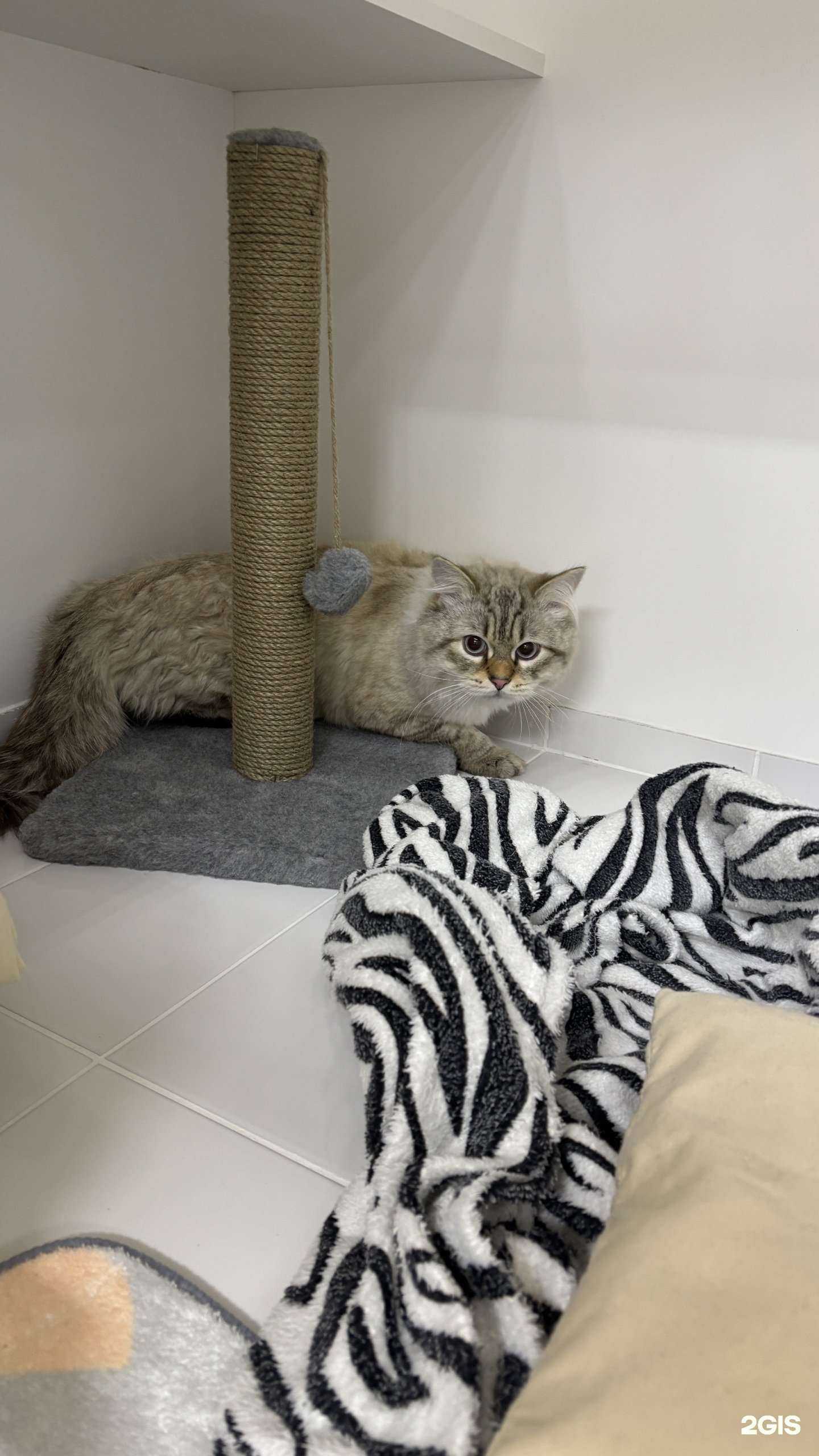 Отзывы на компанию Культура заботы в Нижневартовске c фото