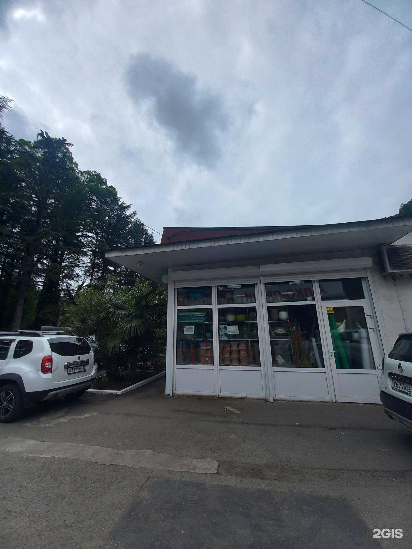 Отзывы на компанию Котенок Гав в Сочи c фото - фотография 2 из 2