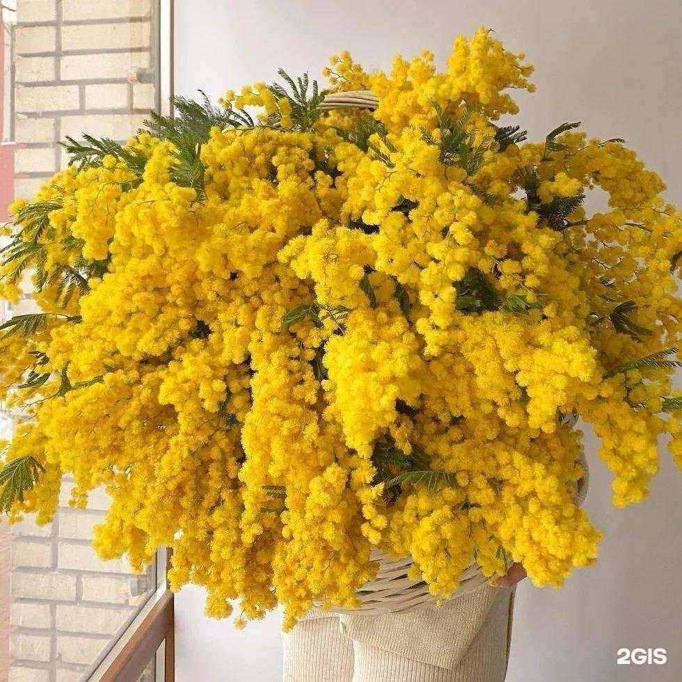 Отзывы на компанию Цветы от меня в Химках c фото